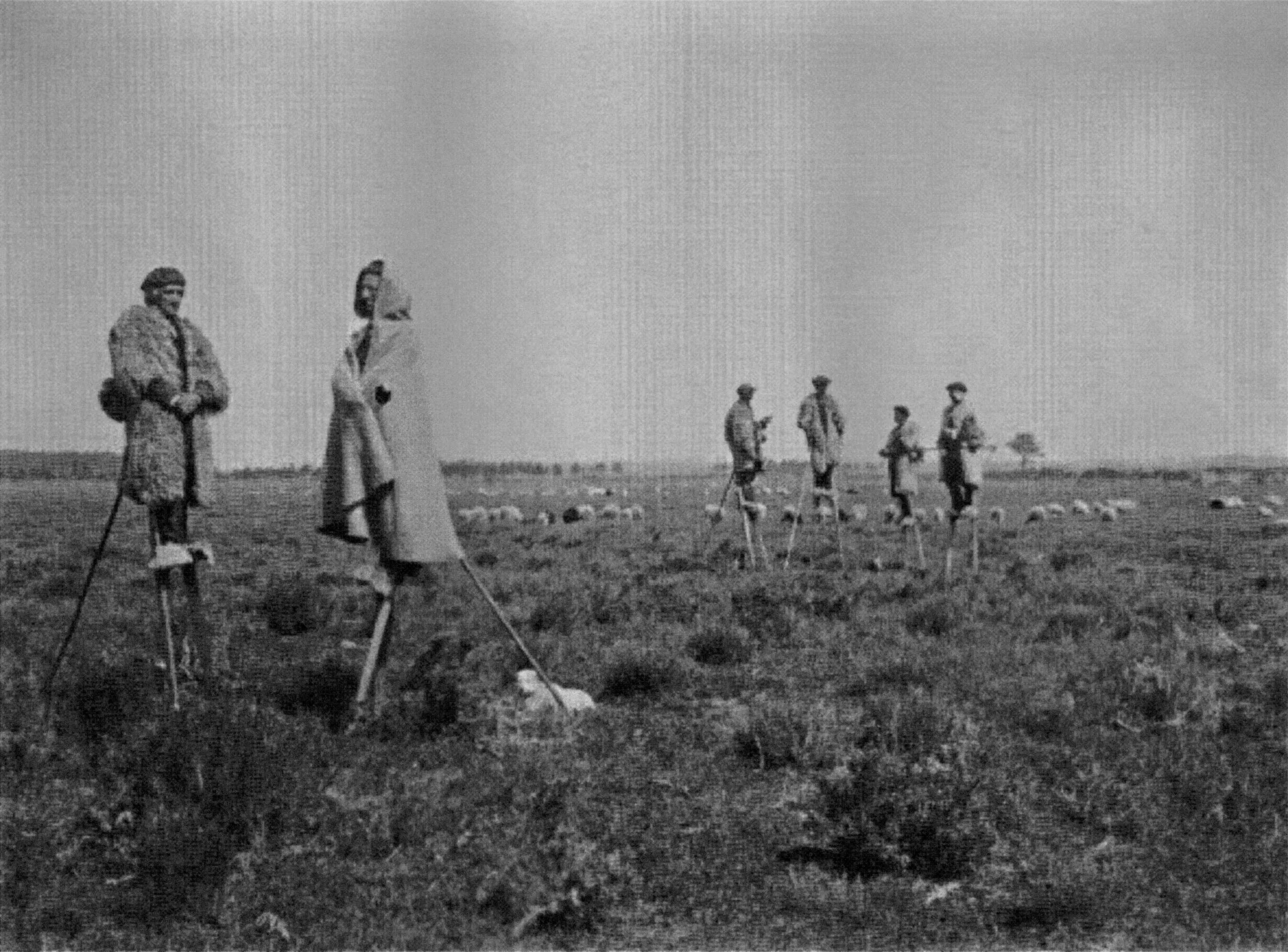 Gallery slide image