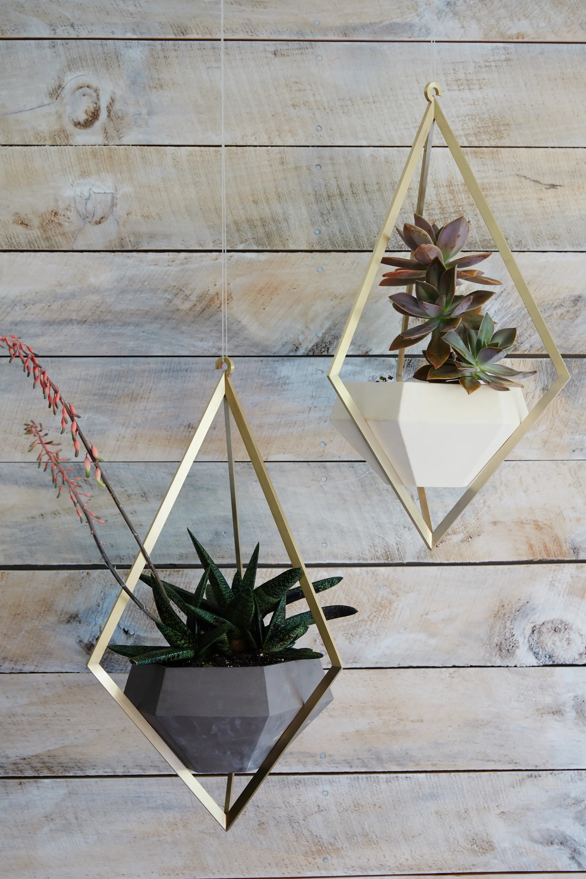 Farrah Sit - Tetra Pendant Light - Smoke