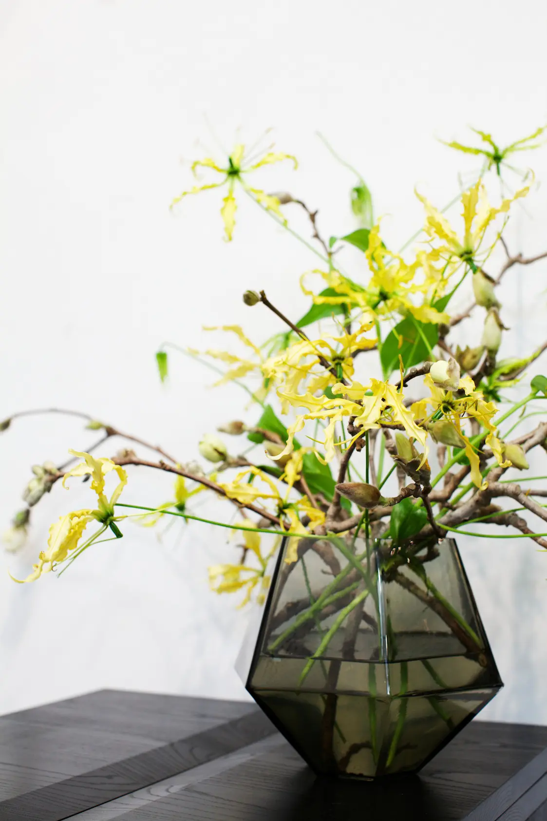 Farrah Sit - Graphyne Vase