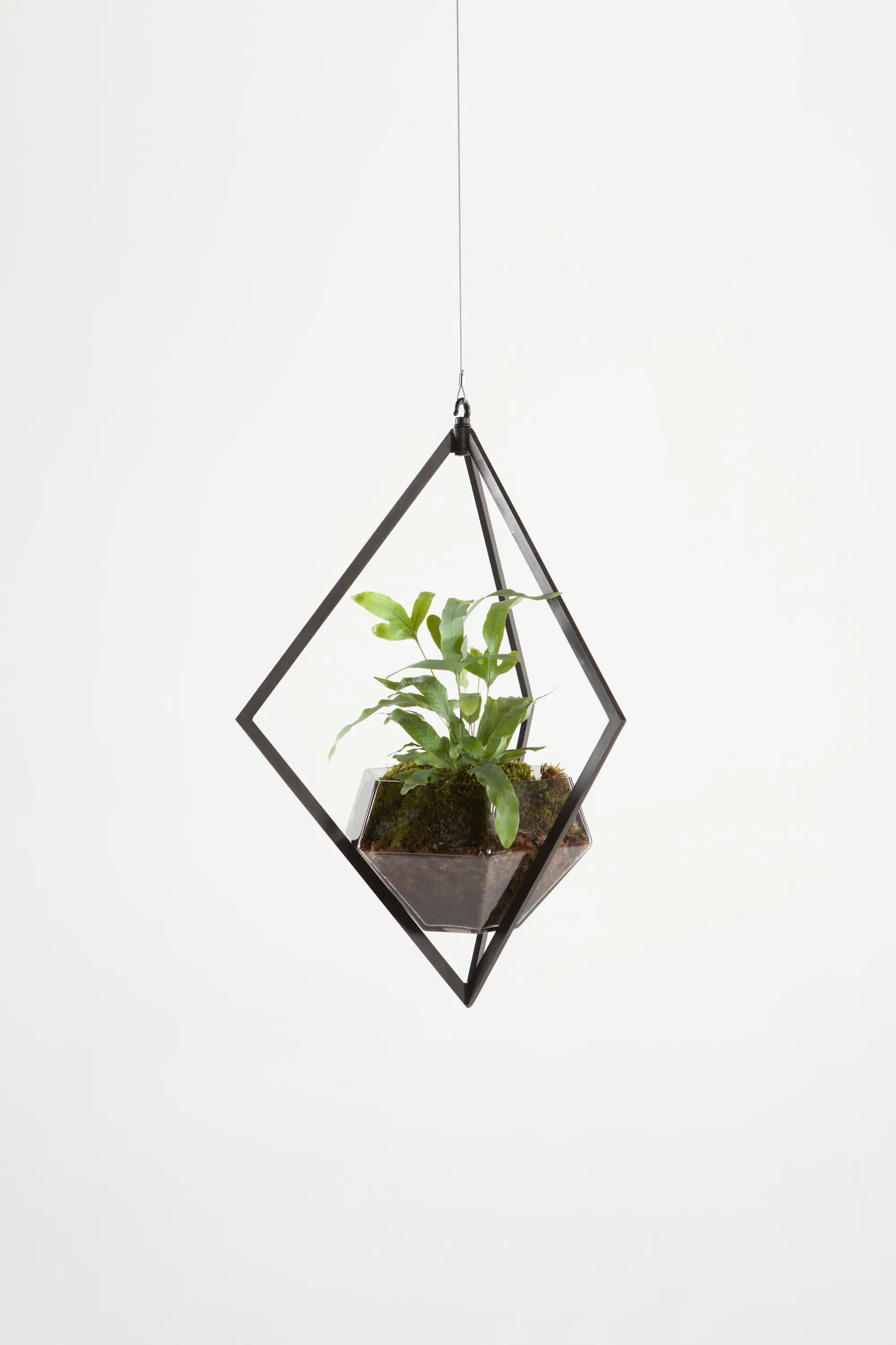 Farrah Sit - Graphite Planter