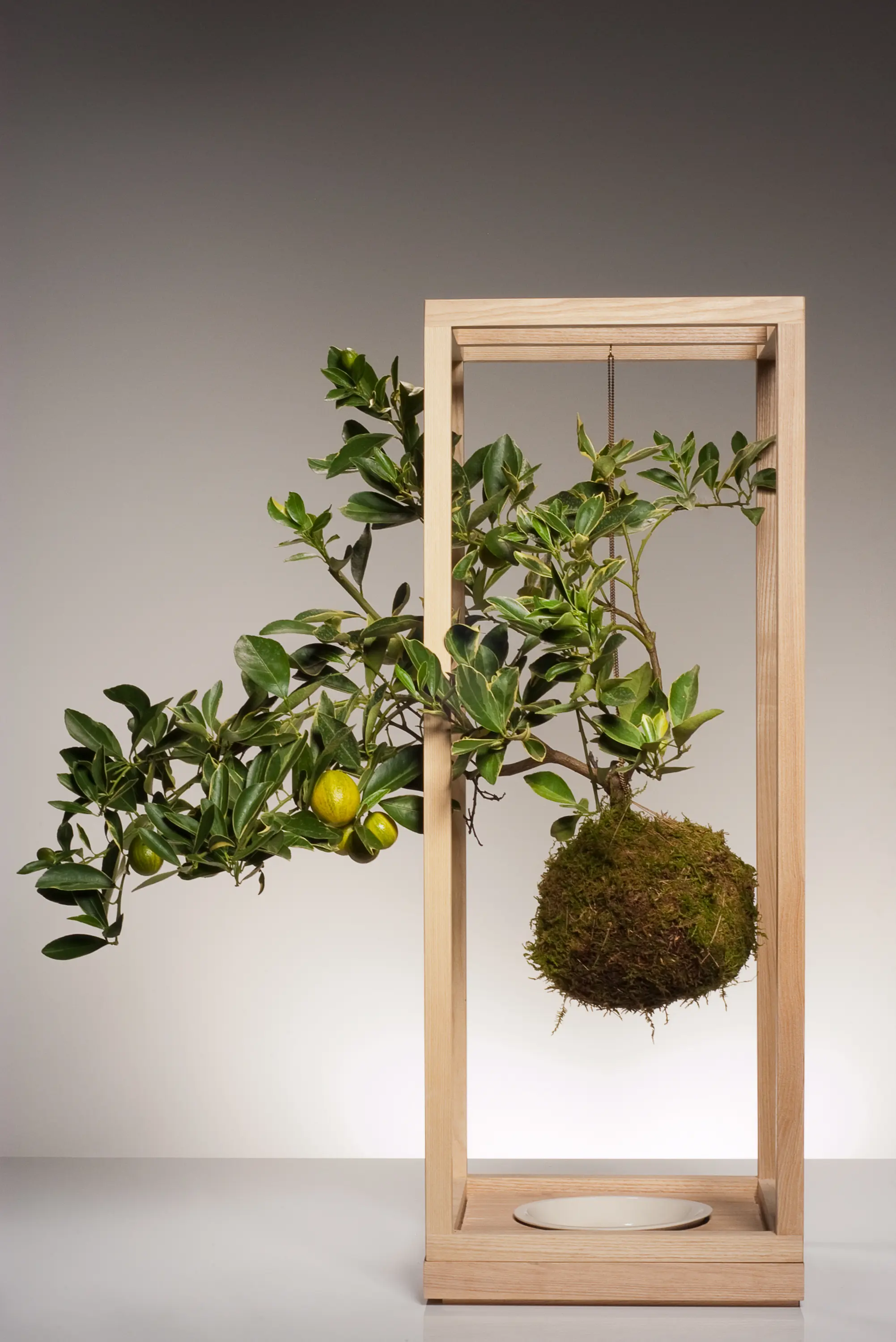 disco ball planter Disco Ball Planter  That Organized Home