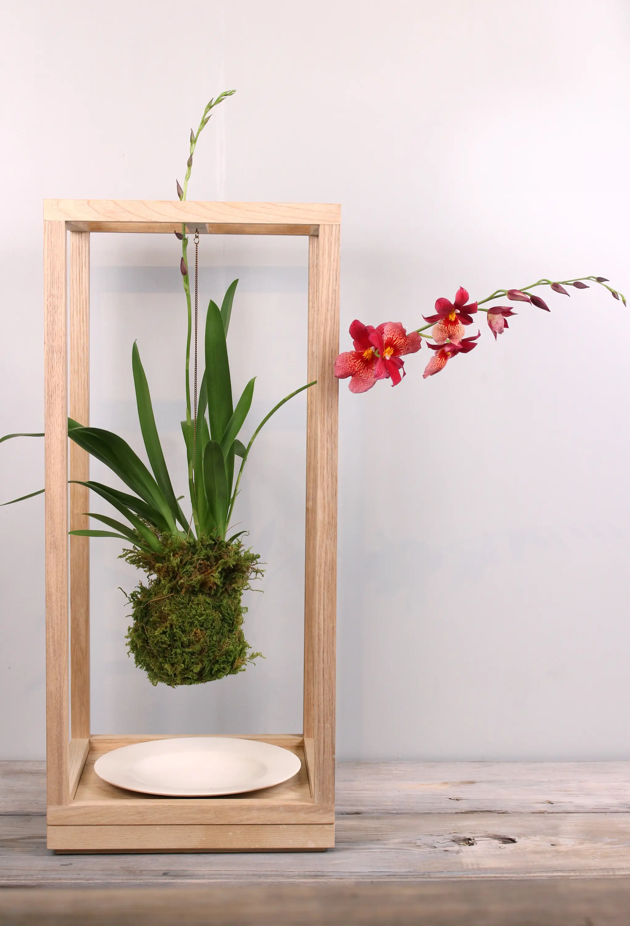 PLANT BONDAGE ASH - Plant pots from Farrah Sit | Architonic