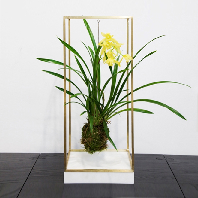 Display product Plant Bondage Marble from manufacturer Farrah Sit