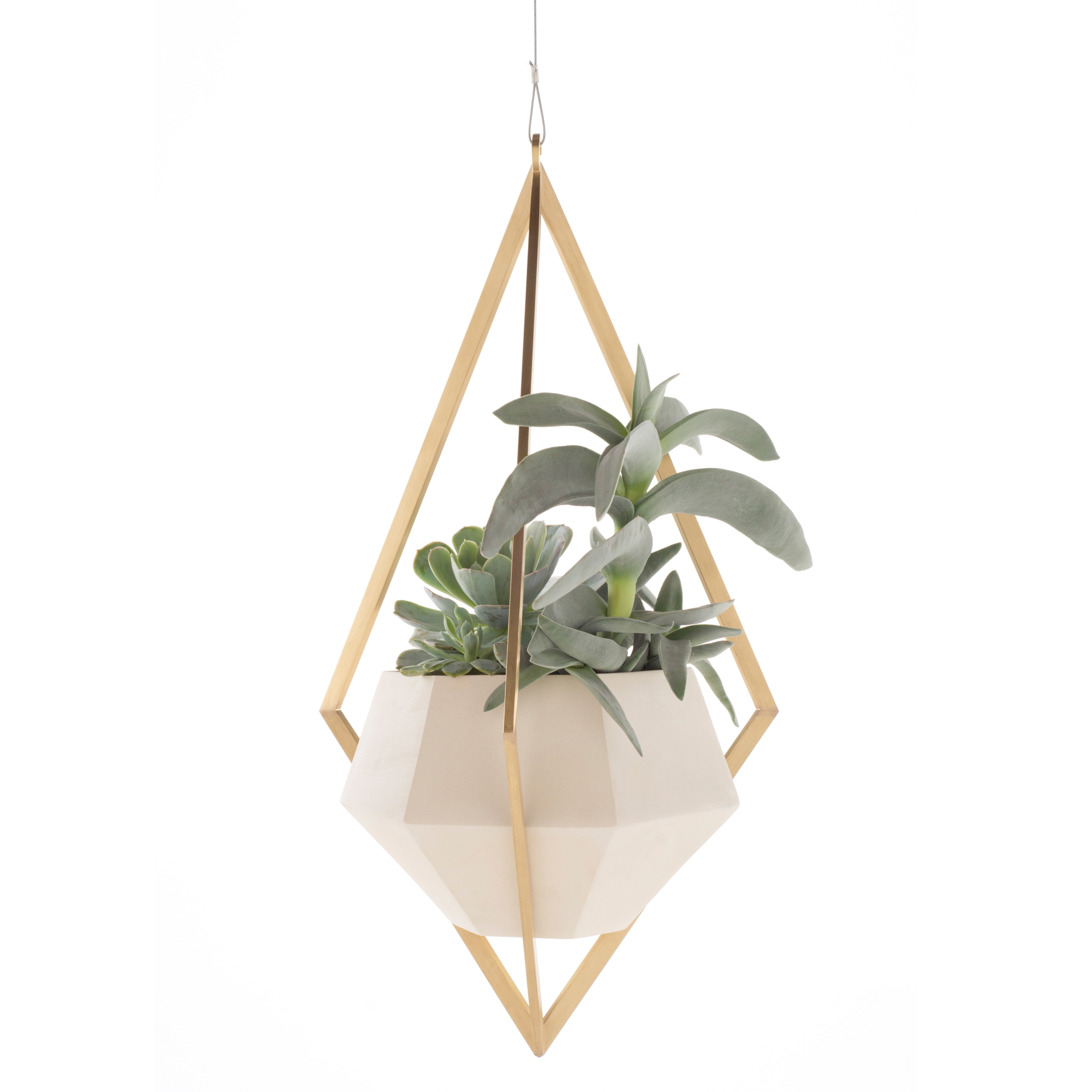 Display product Tetra Planter from manufacturer Farrah Sit