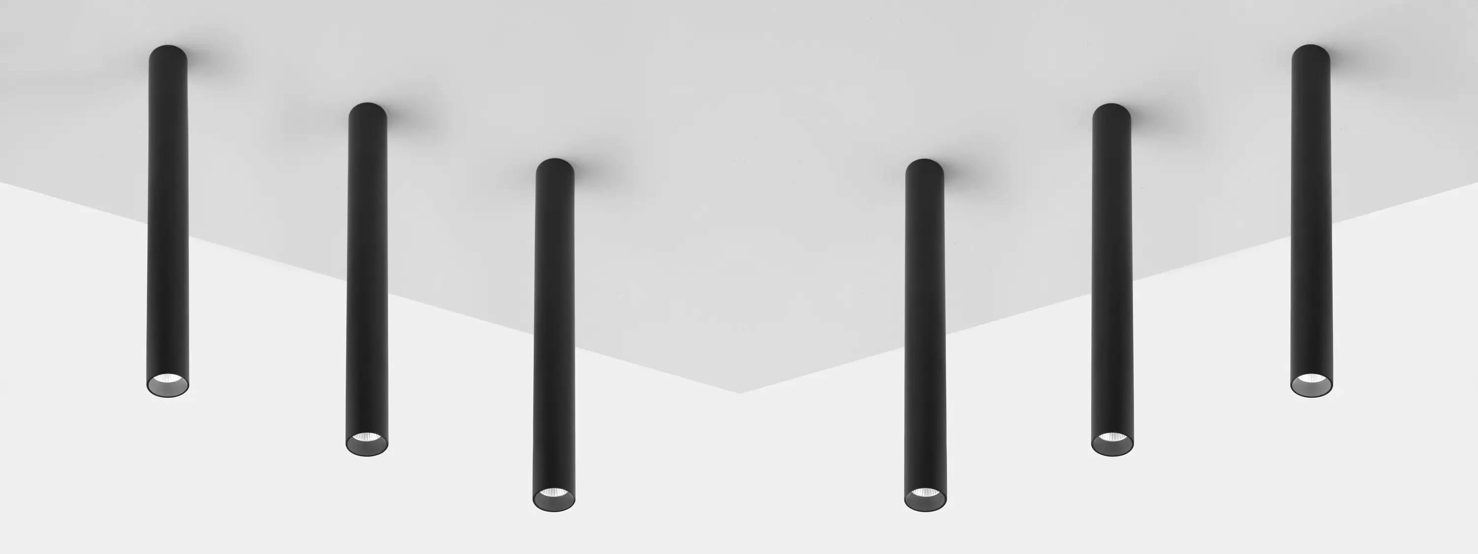 Aqlus - Mery con bordo