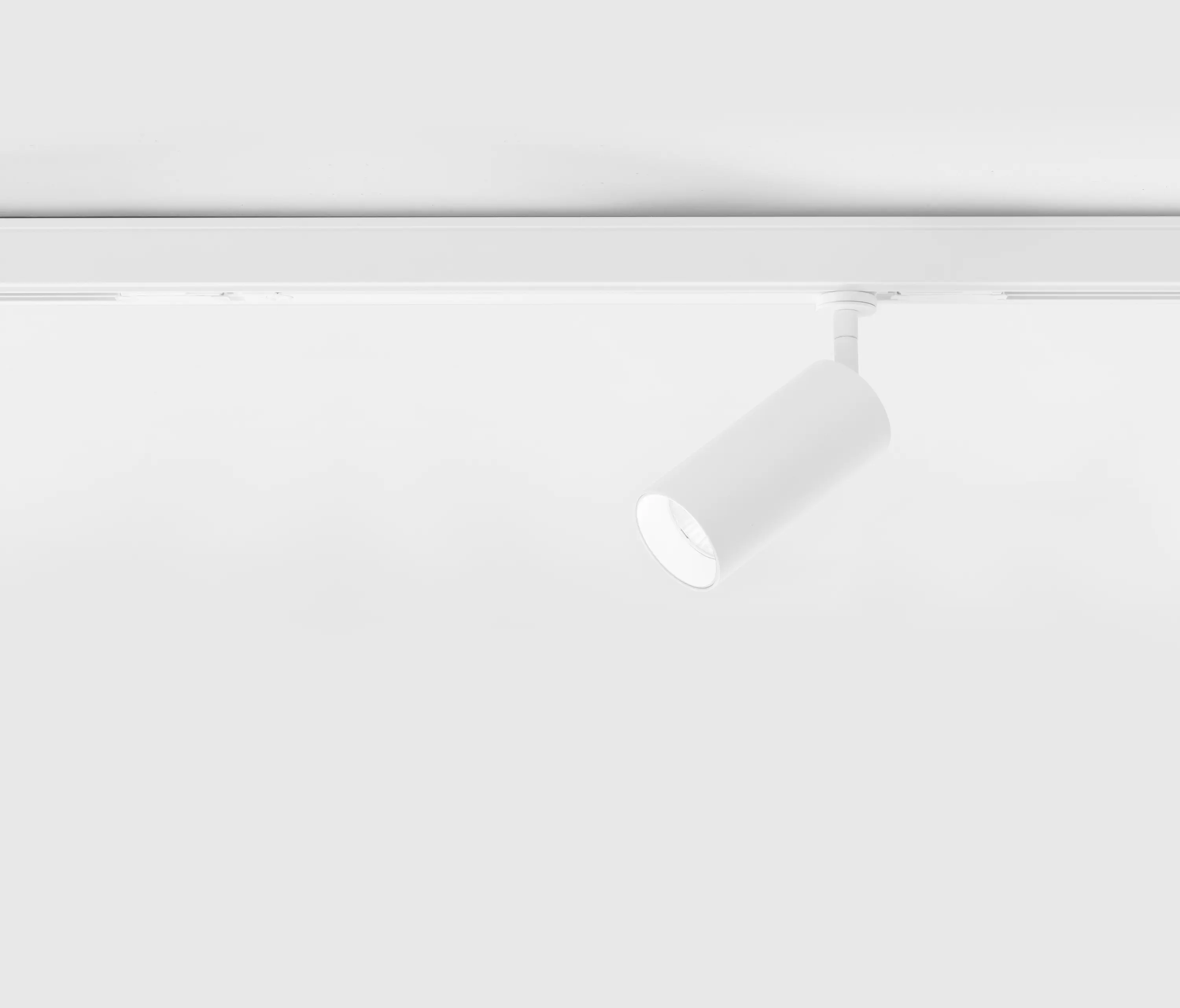 Aqlus - LEO PICCOLO ADATTATORE A SCOMPARSA