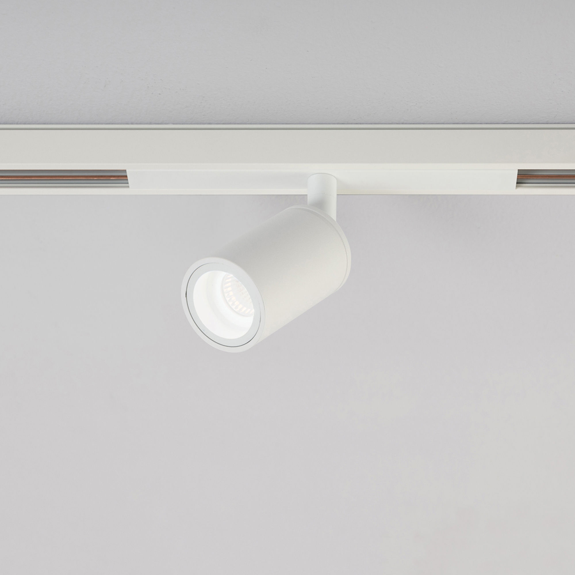 Display product LEO 48 PICCOLISSIMO from manufacturer Aqlus