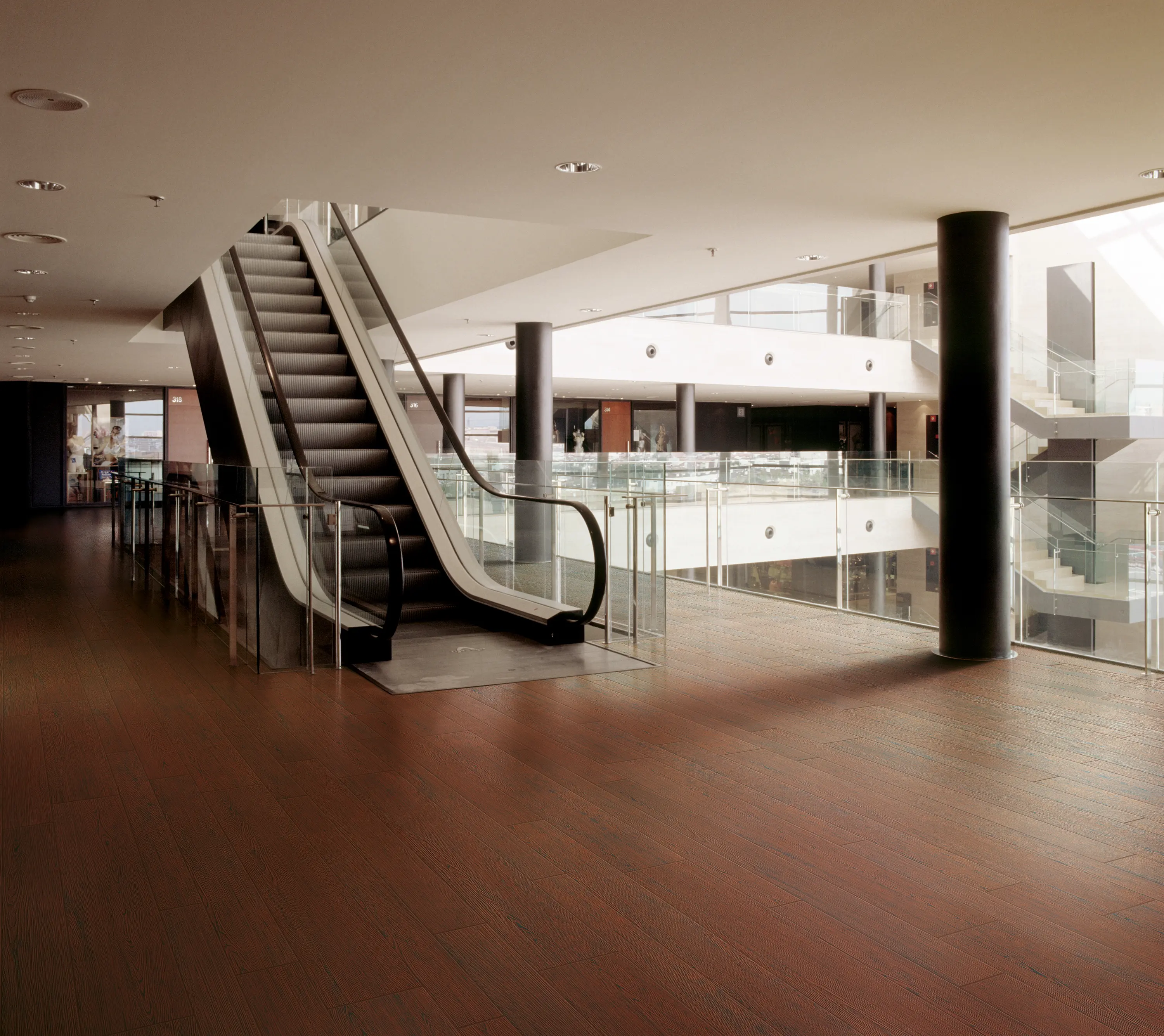 FMG - Lignum Red