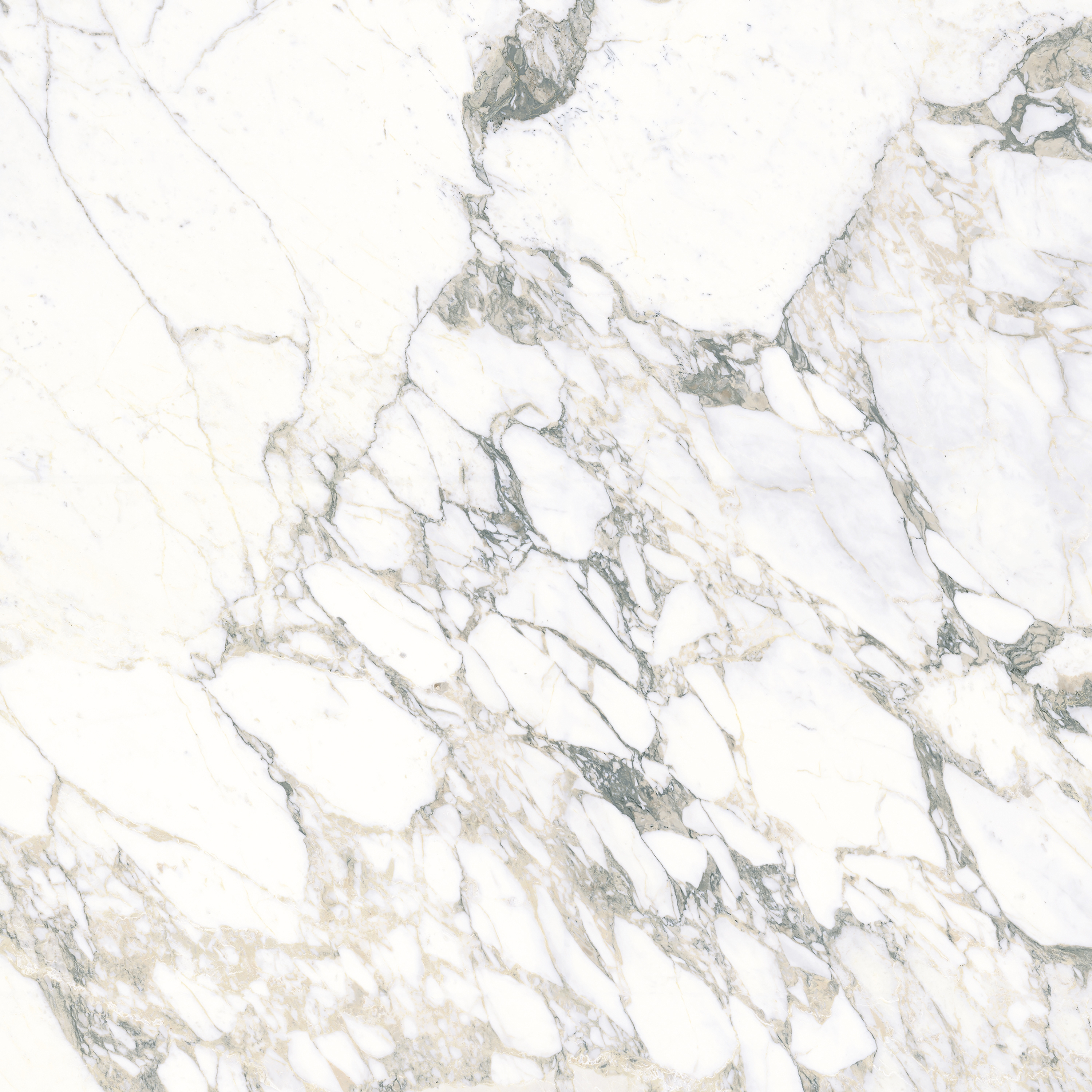 Afficher le produit MAXFINE Marmi Arabescato du fabricant FMG