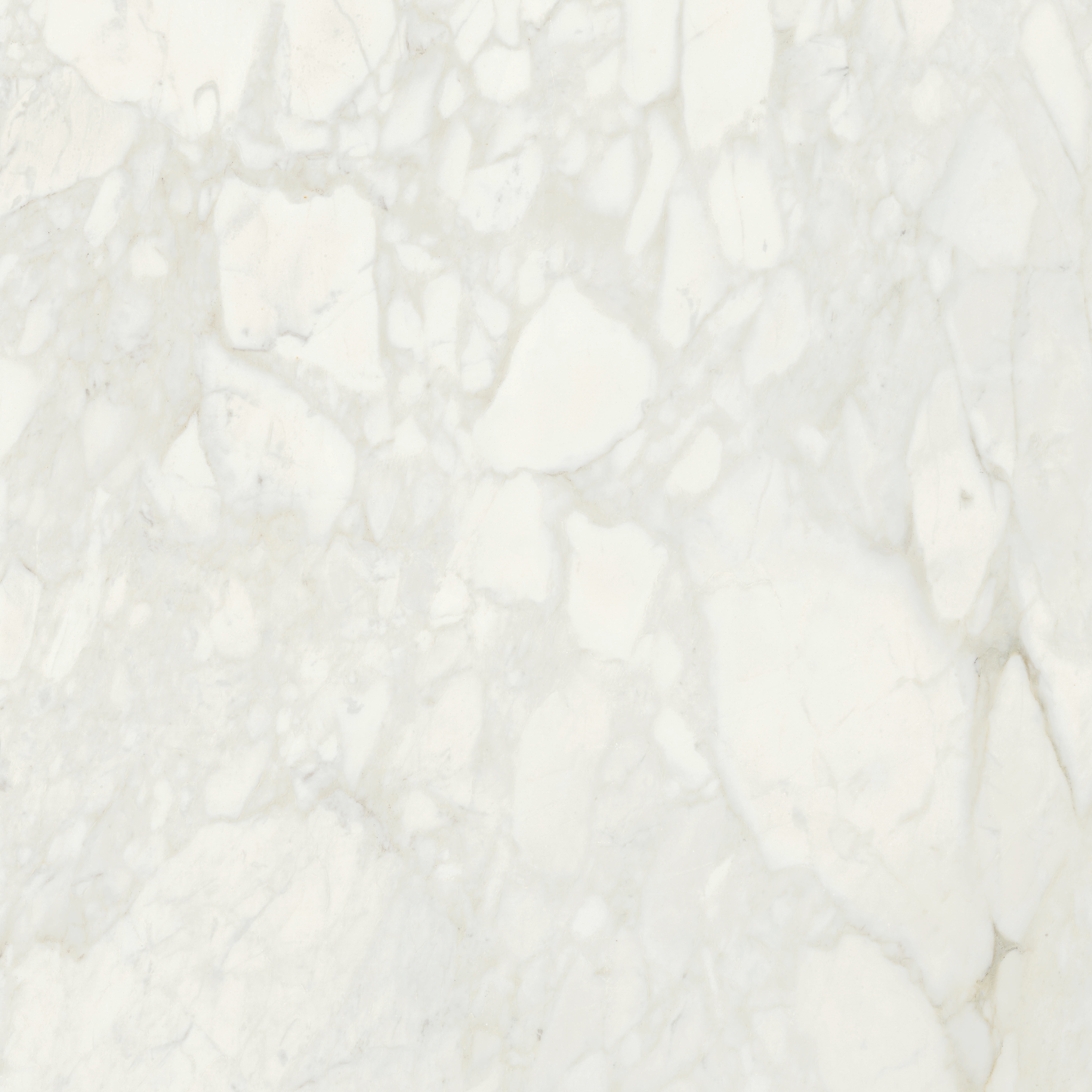 Afficher le produit MAXFINE Marmi Arabescato Light du fabricant FMG