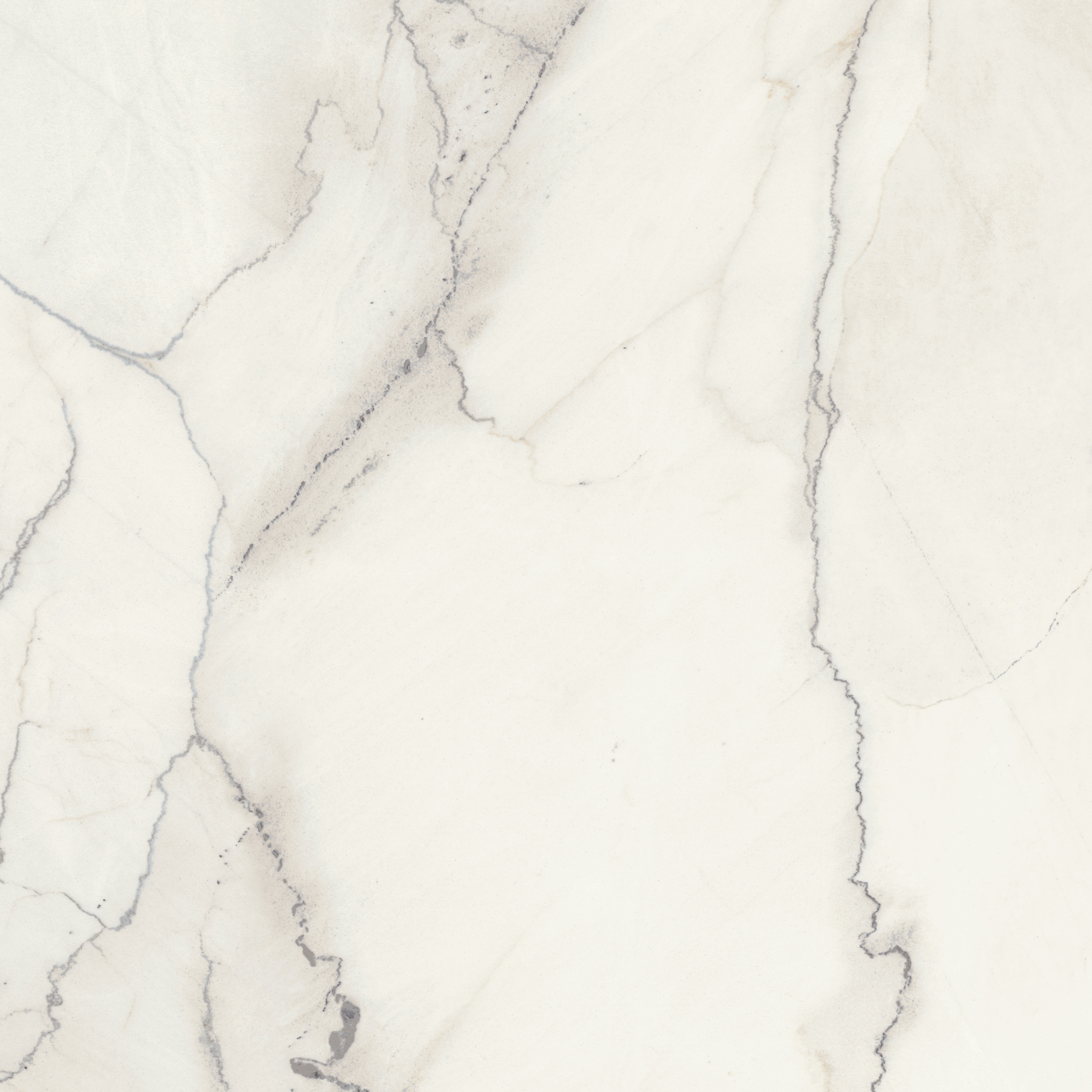 Afficher le produit MAXFINE Marmi Statuario Light du fabricant FMG