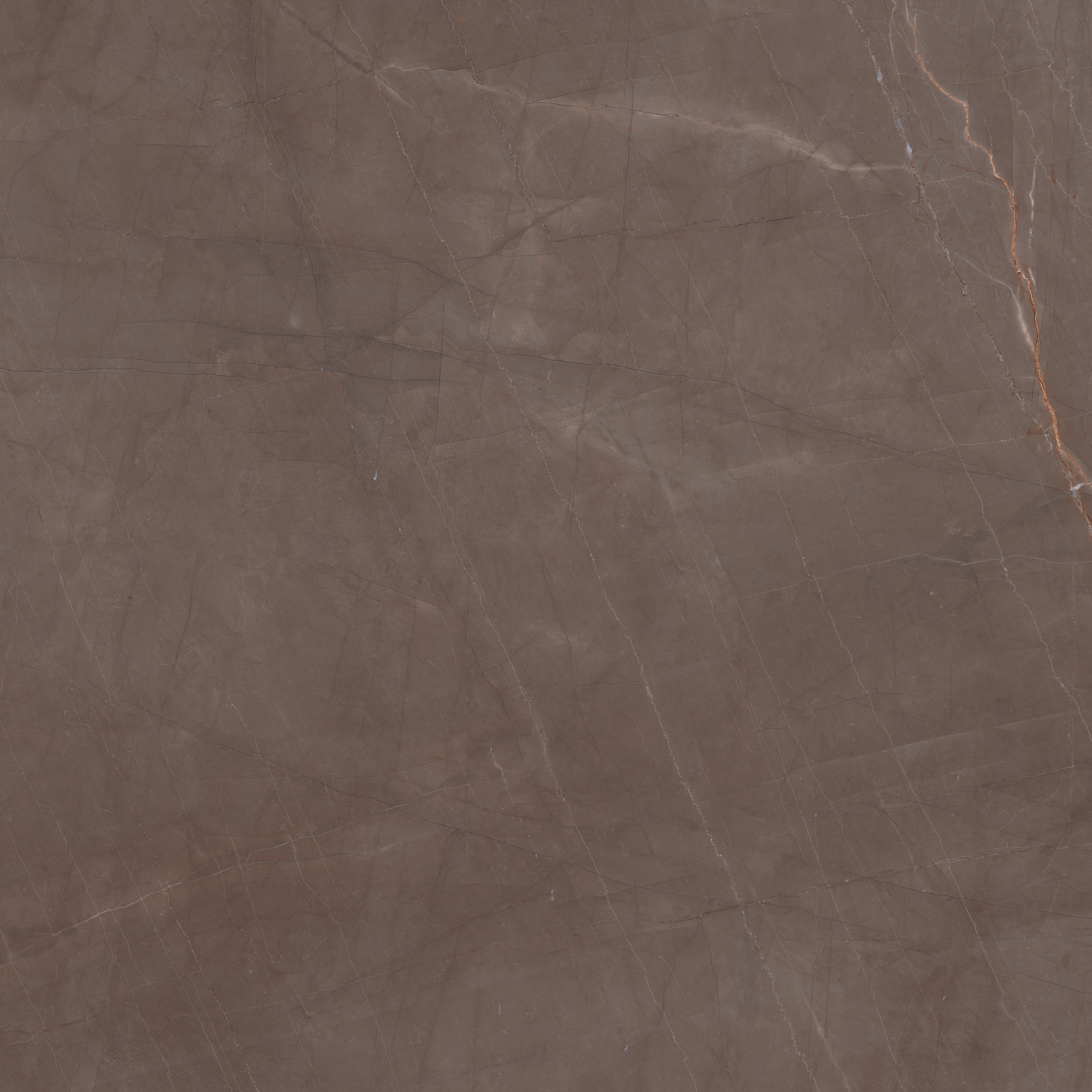 Mostra il prodotto MAXFINE Marmi Gaudi Stone del produttore FMG