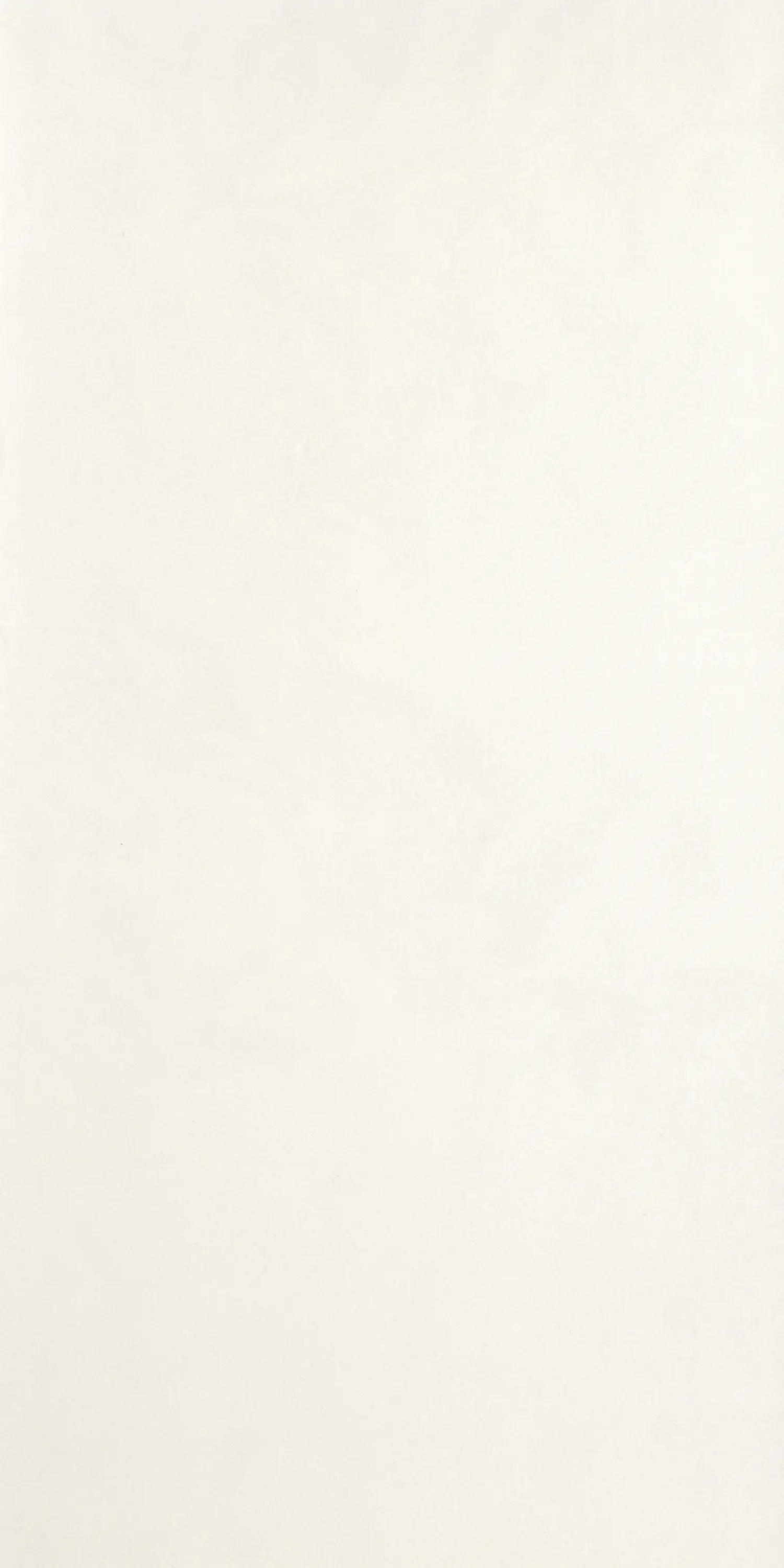 FMG - Trax White