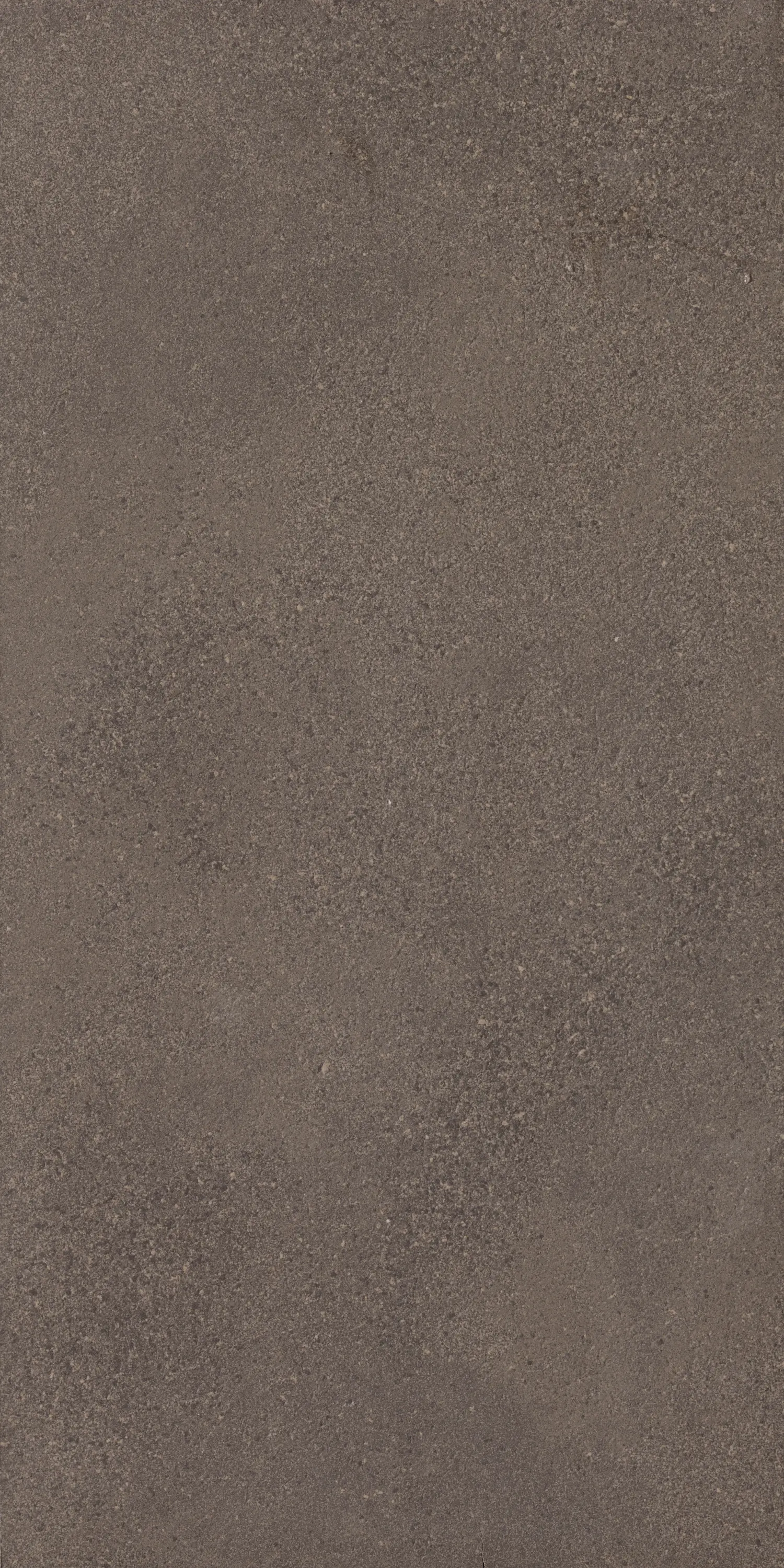 FMG - Trax Brown