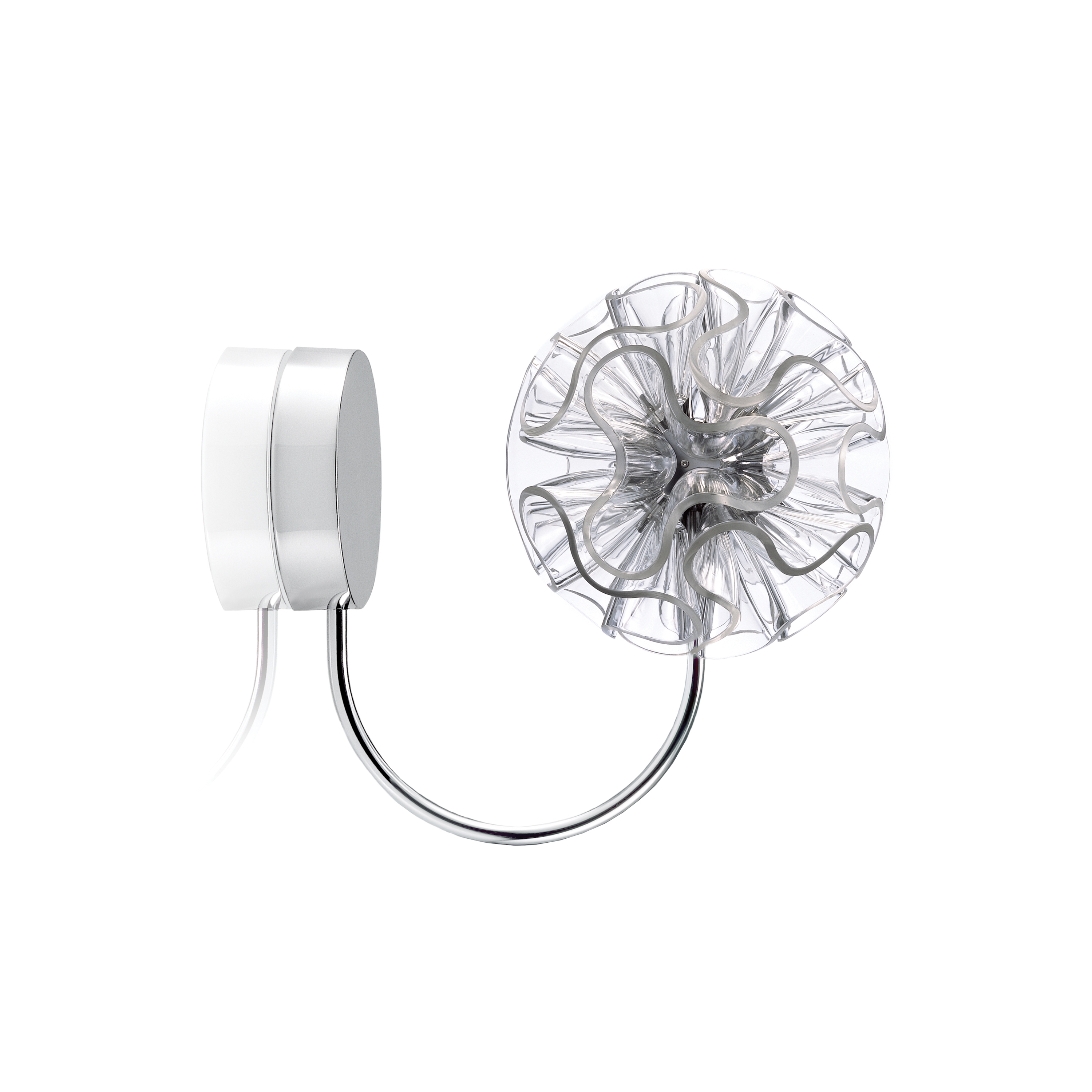 Produkt Coral Wall | Clear des Herstellers QisDesign anzeigen