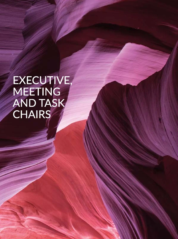 Image d’aperçu du fichier Executive | Meeting | Task Chairs
