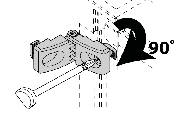 Thumbnail for image 6