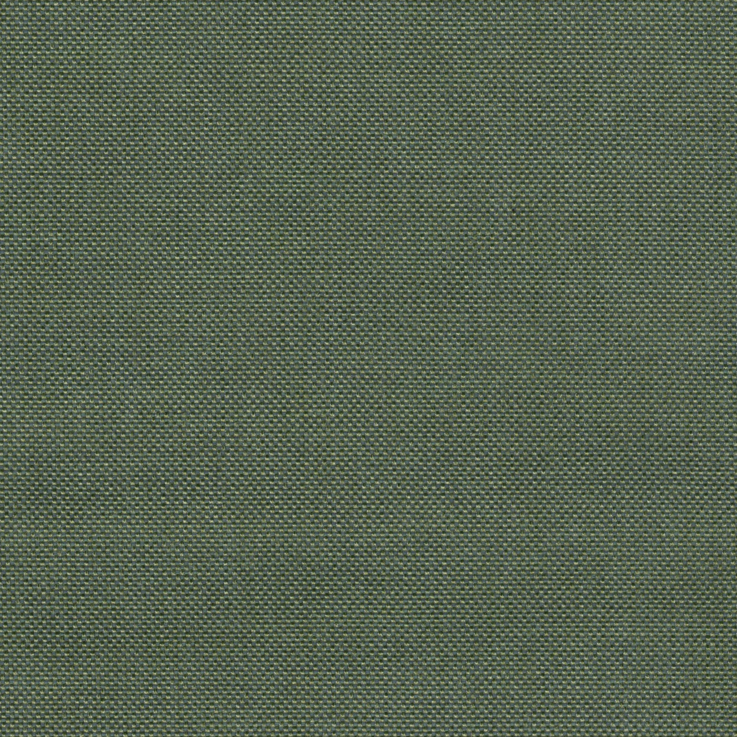 Libra_37