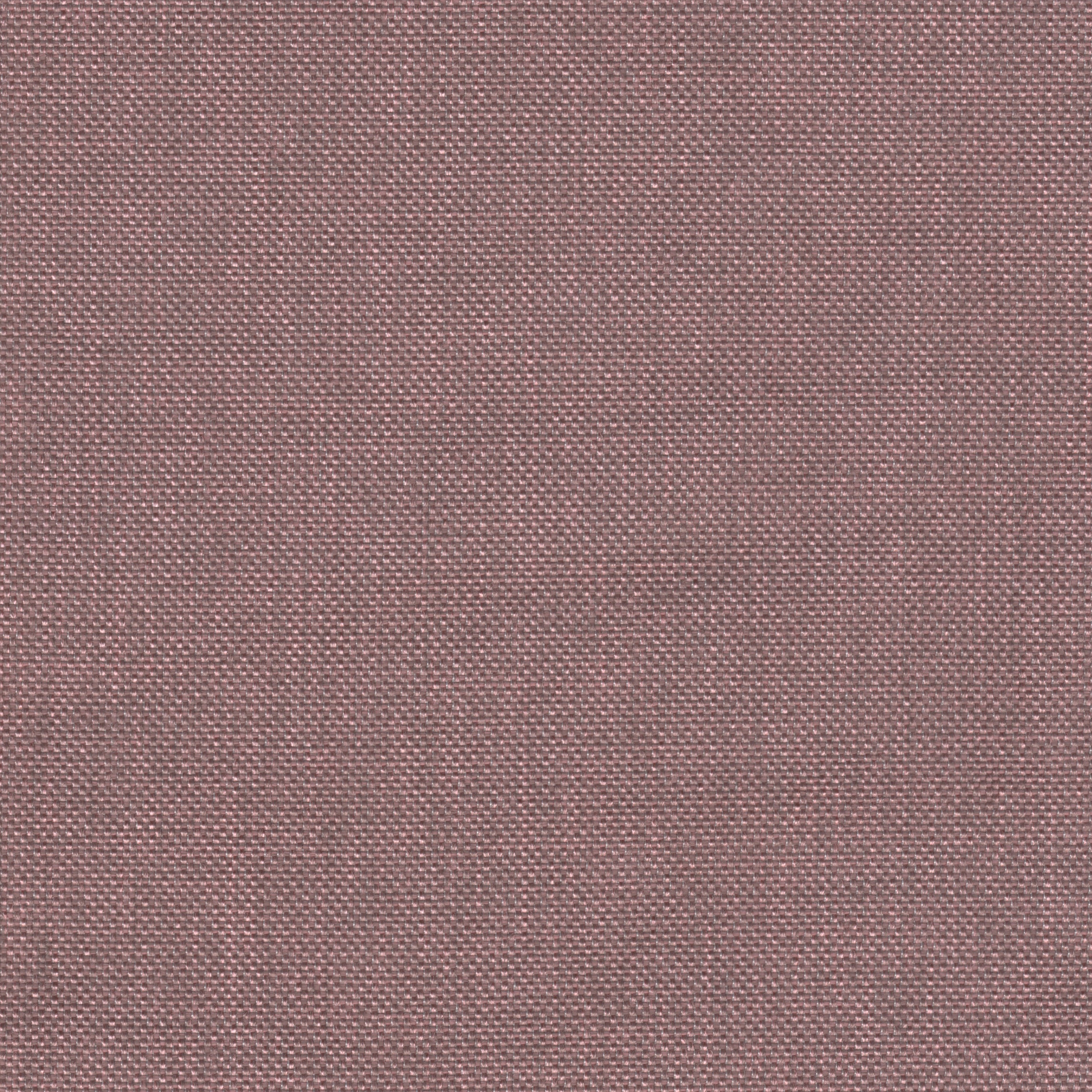 Libra_66