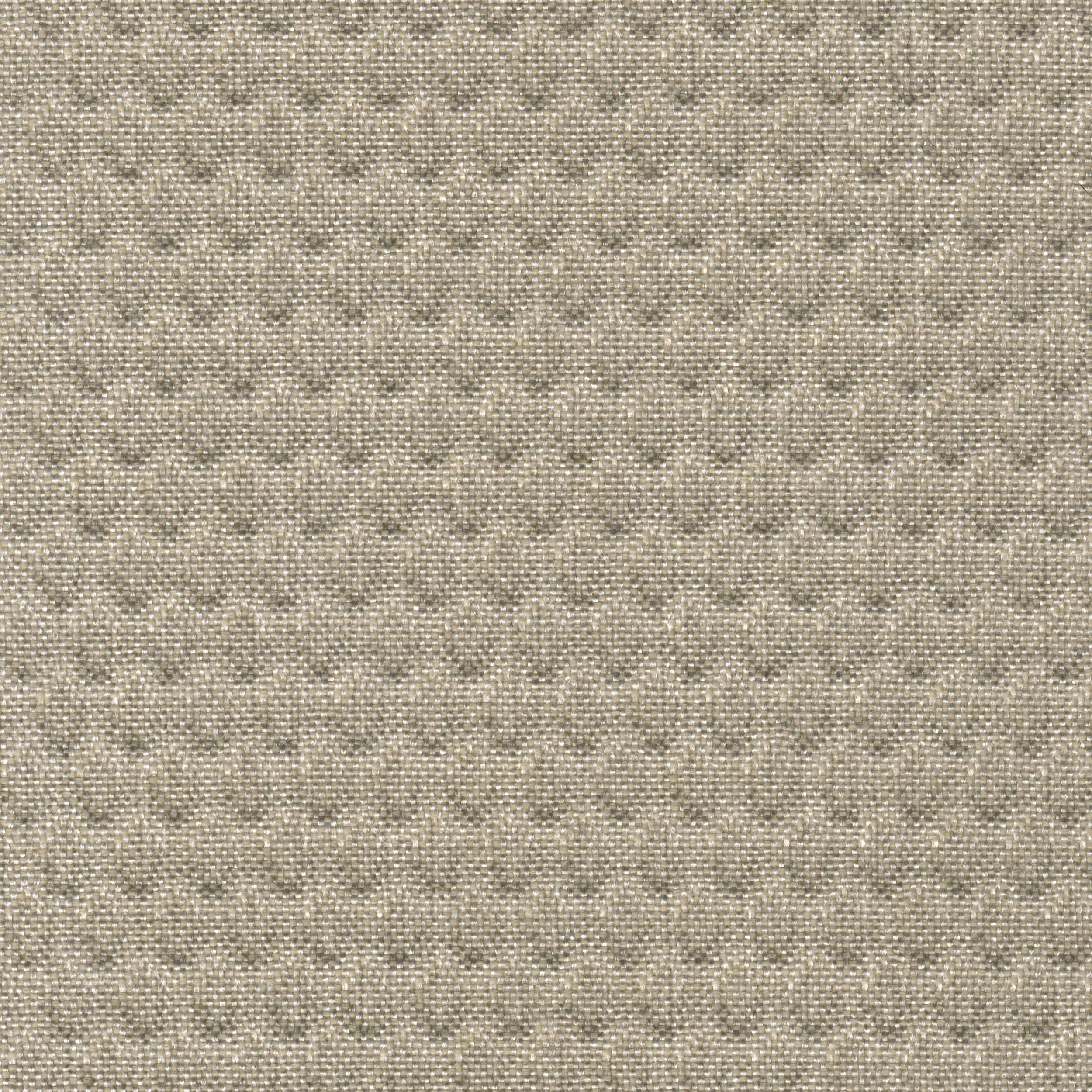 Plexus_05