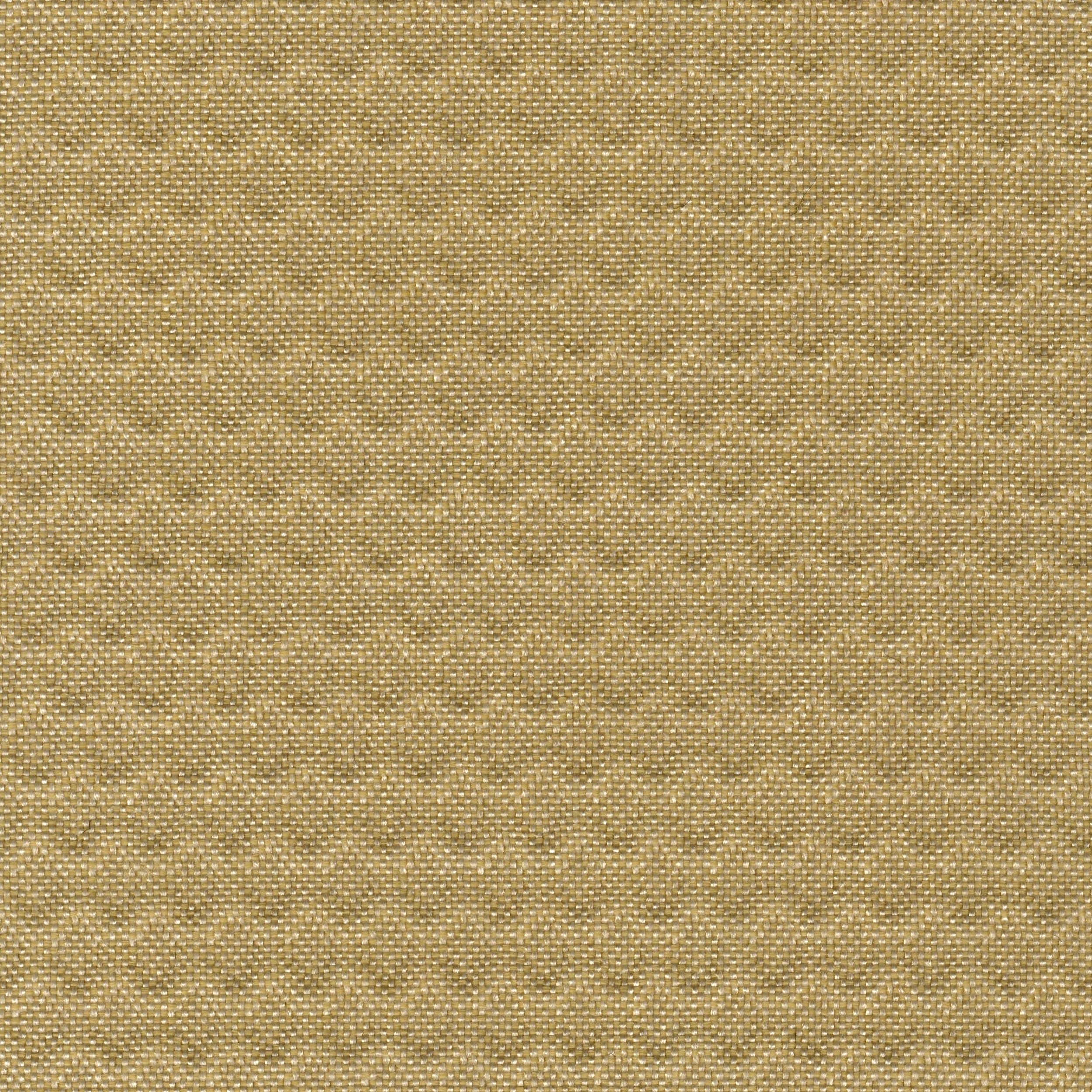 Plexus_16