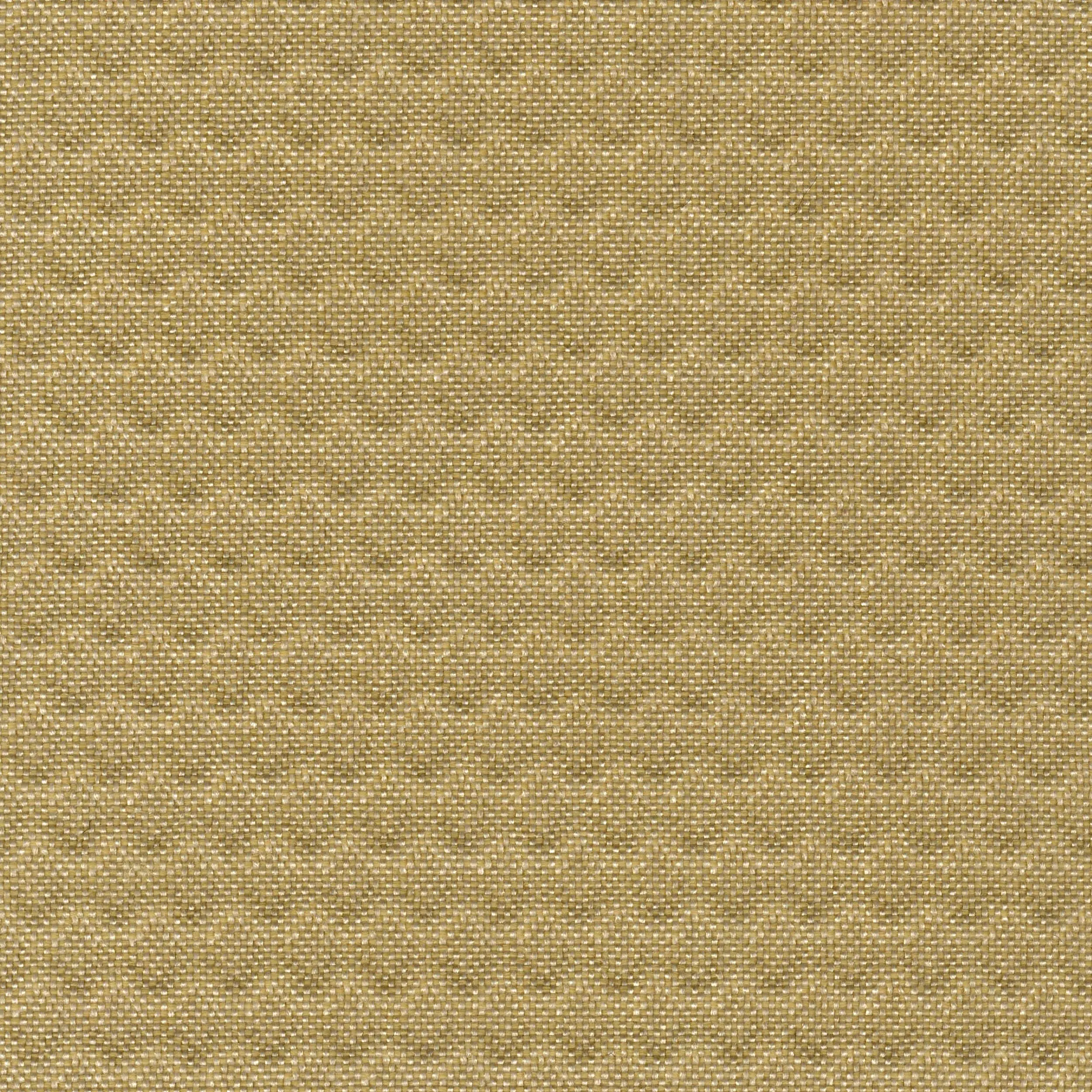 Crevin - Plexus_16