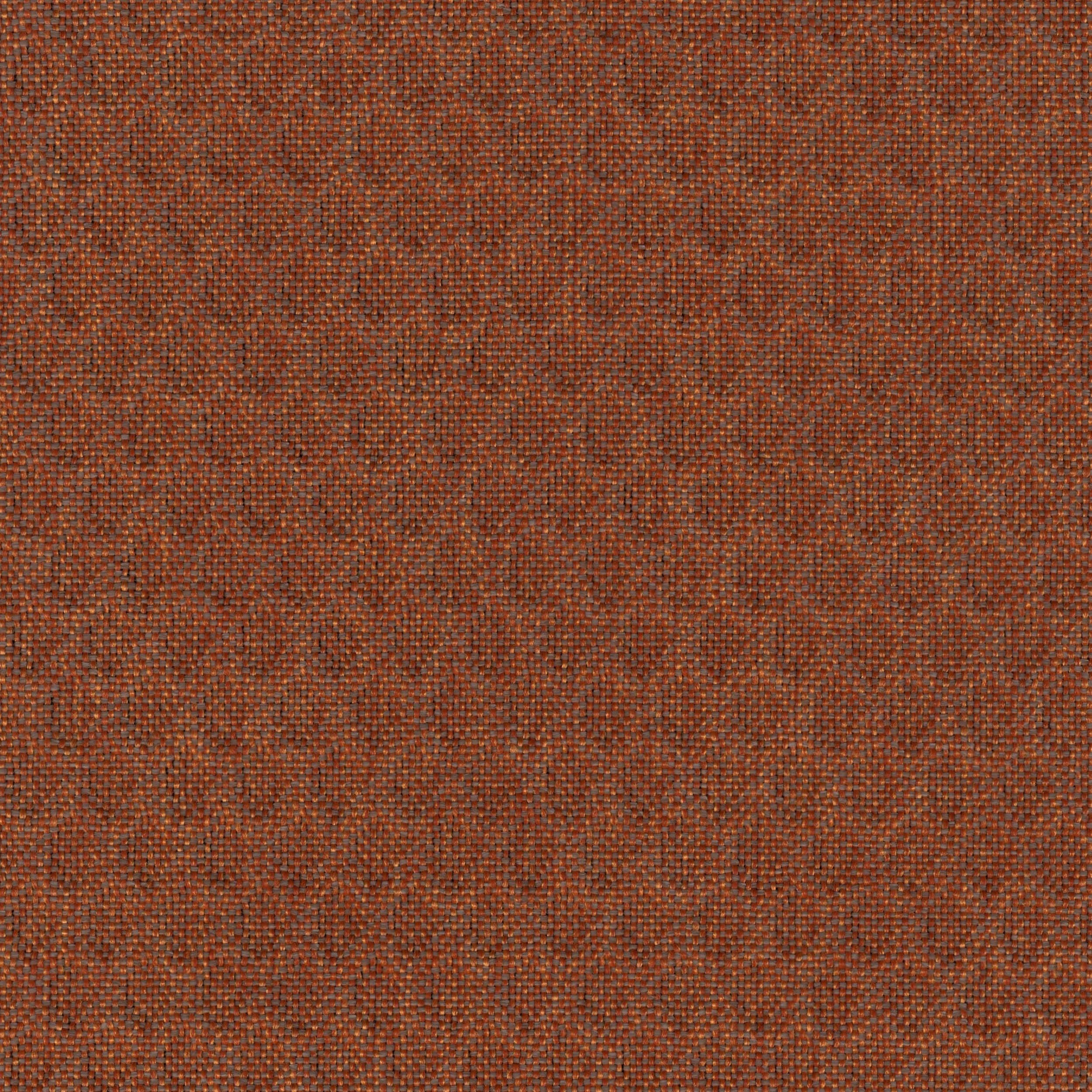 Plexus_24