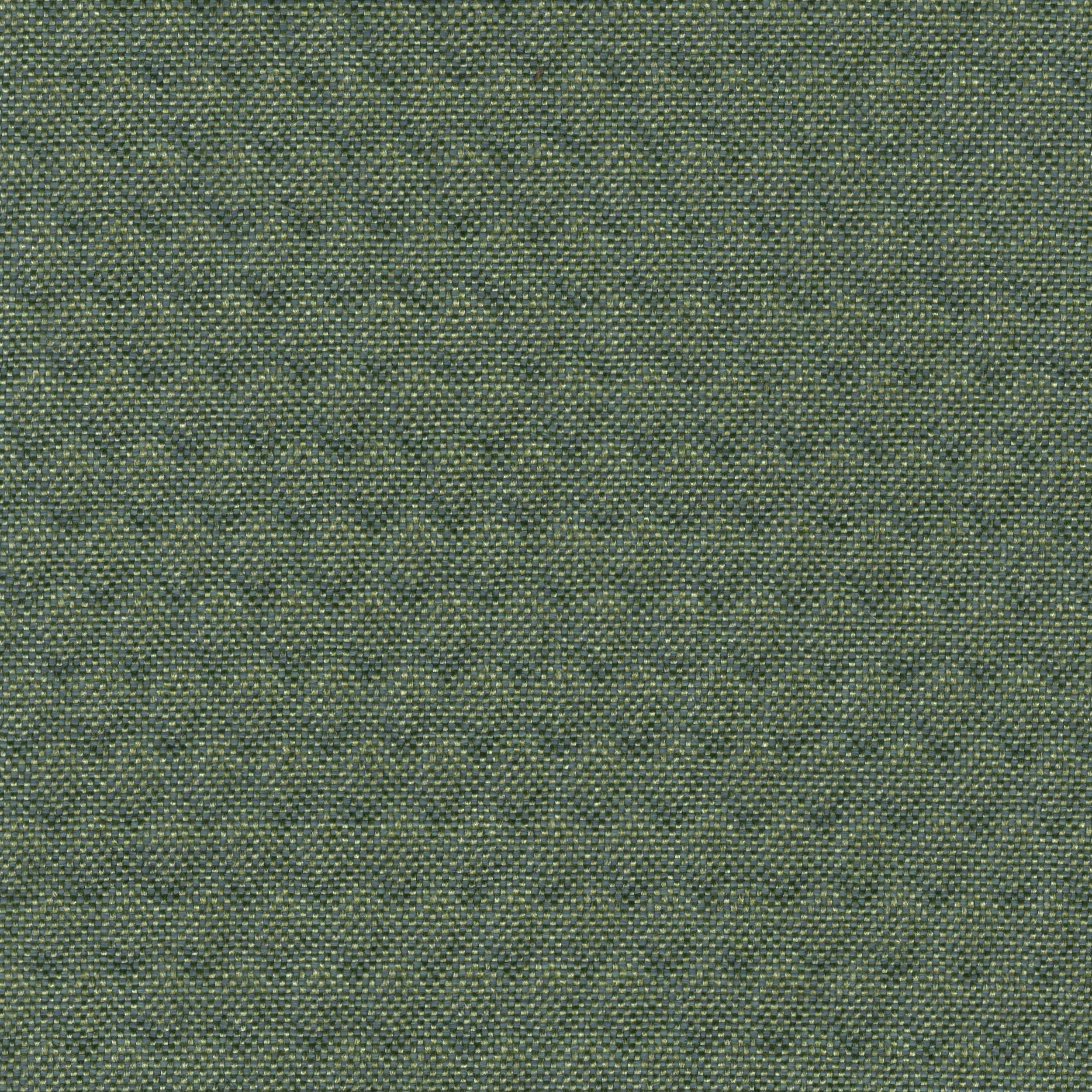 Plexus_37