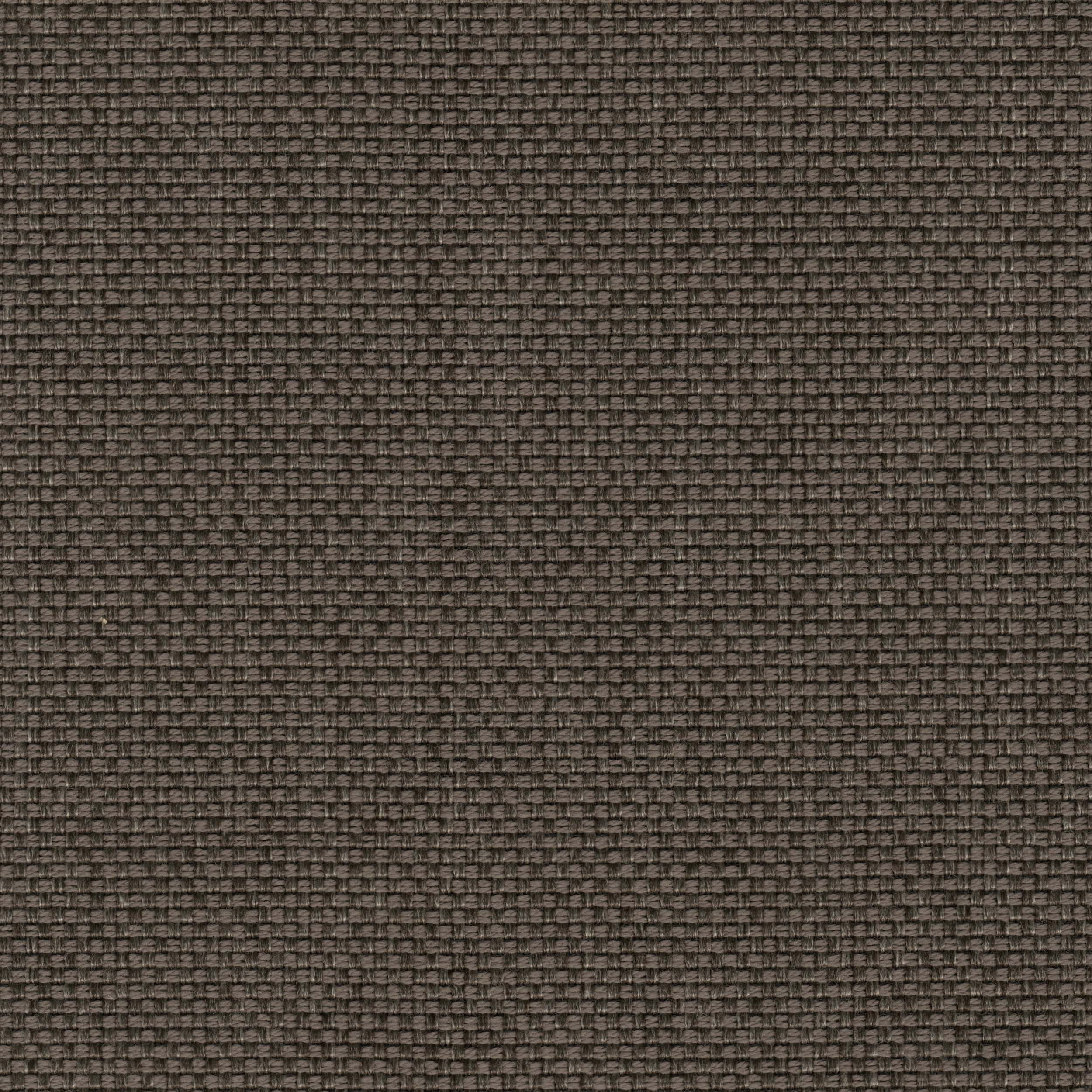 Tonic_12