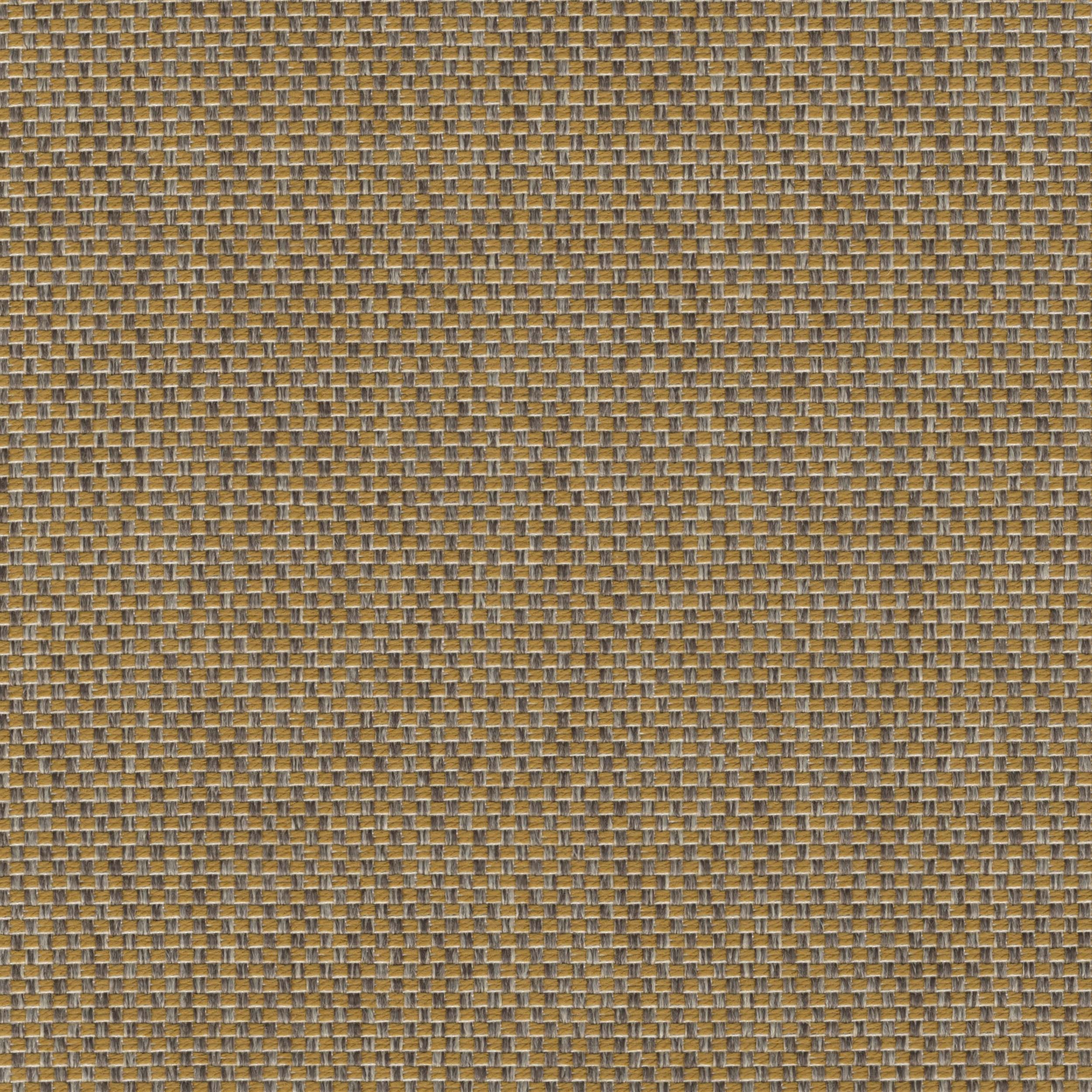 Tonic_16