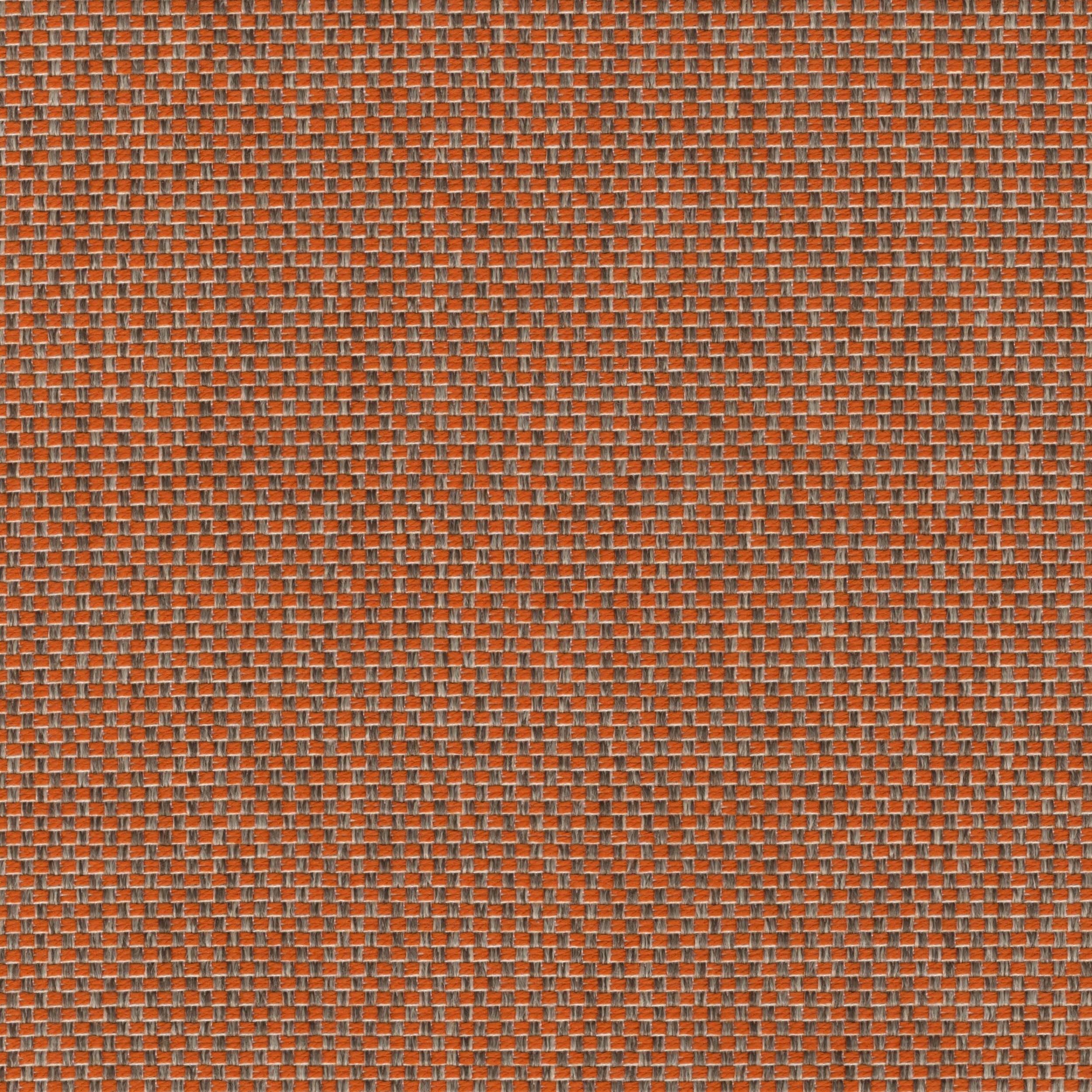 Tonic_24