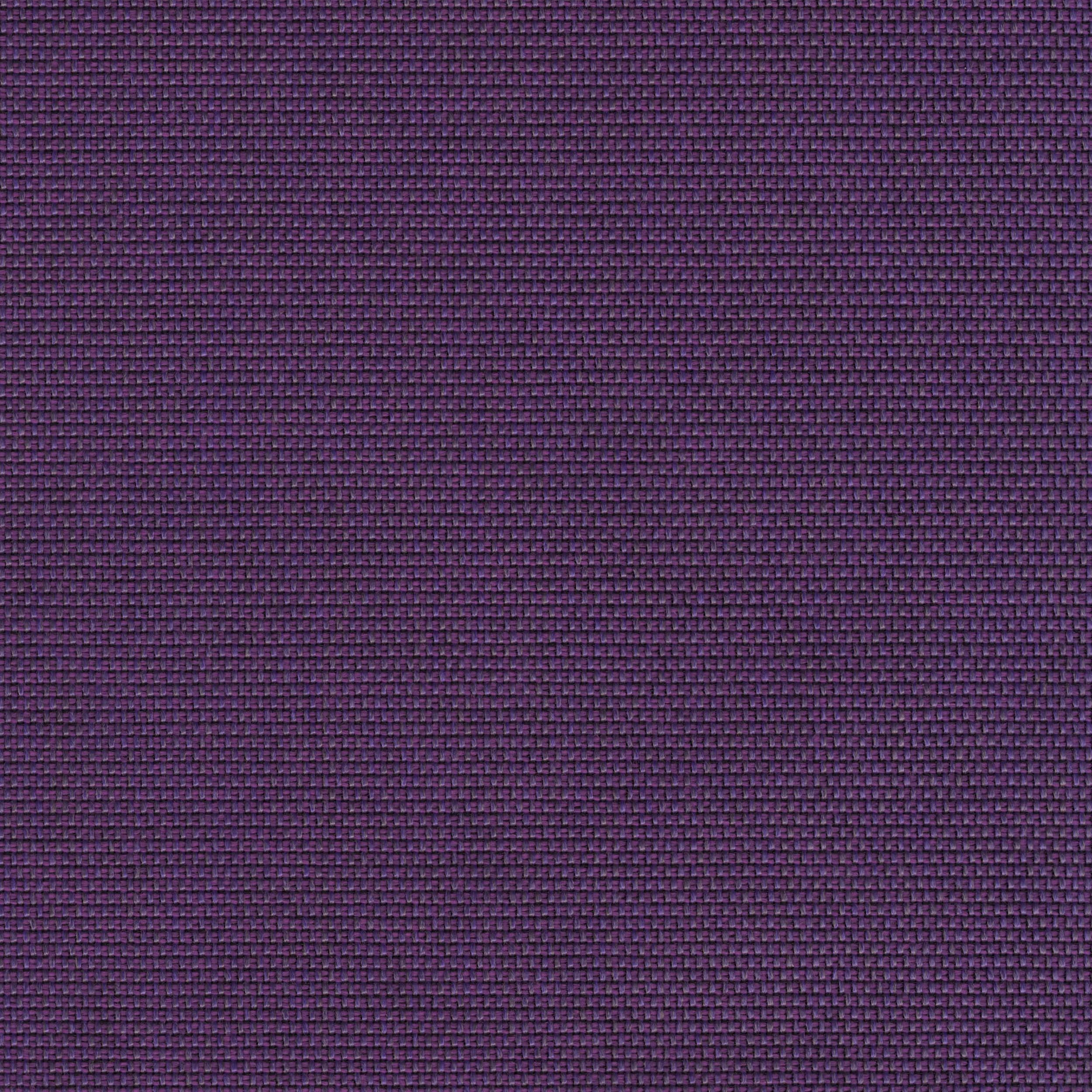 Das-FR_62