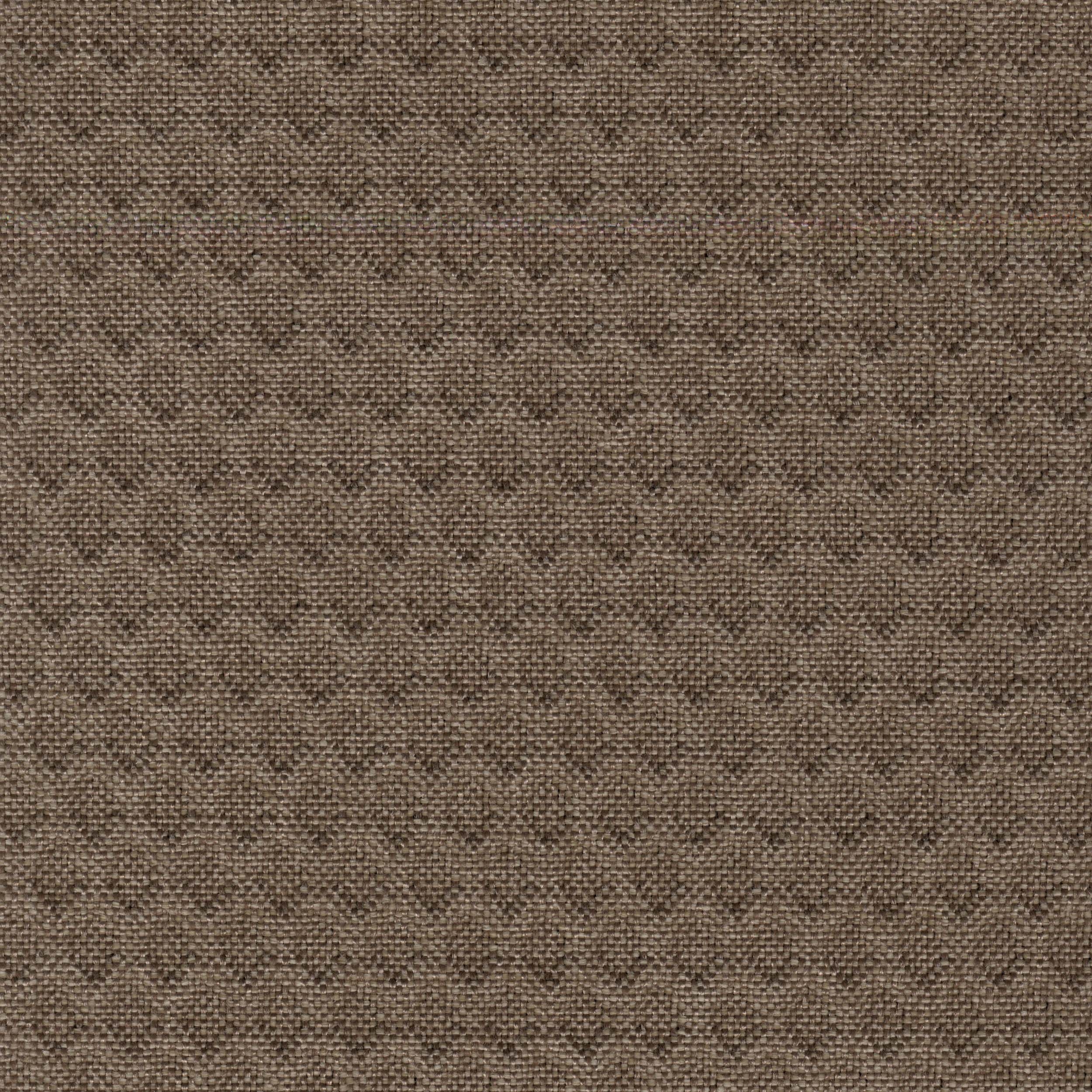 Plexus-FR_11