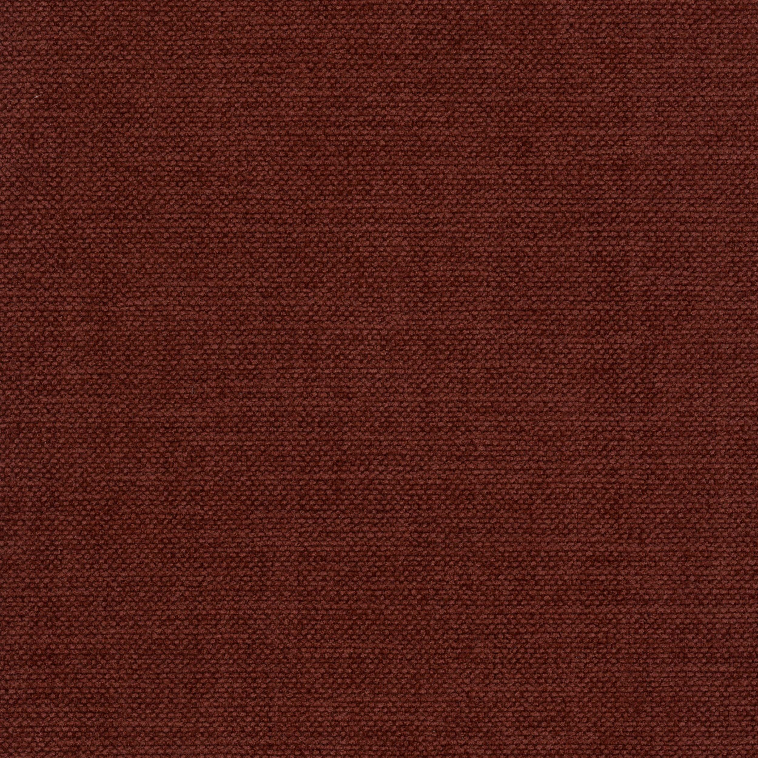 Anima_22