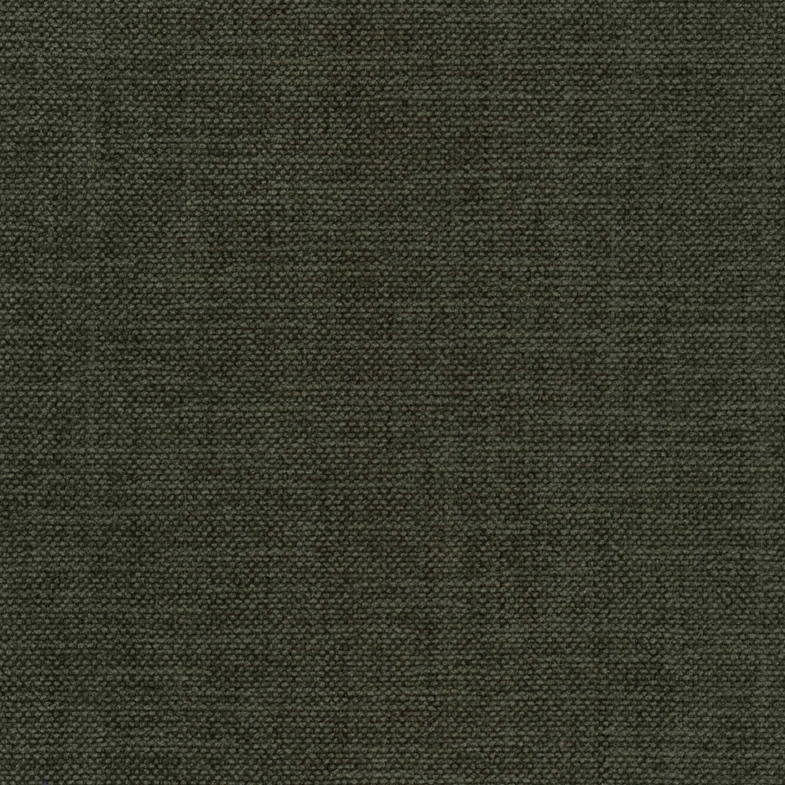 Anima-FR_30