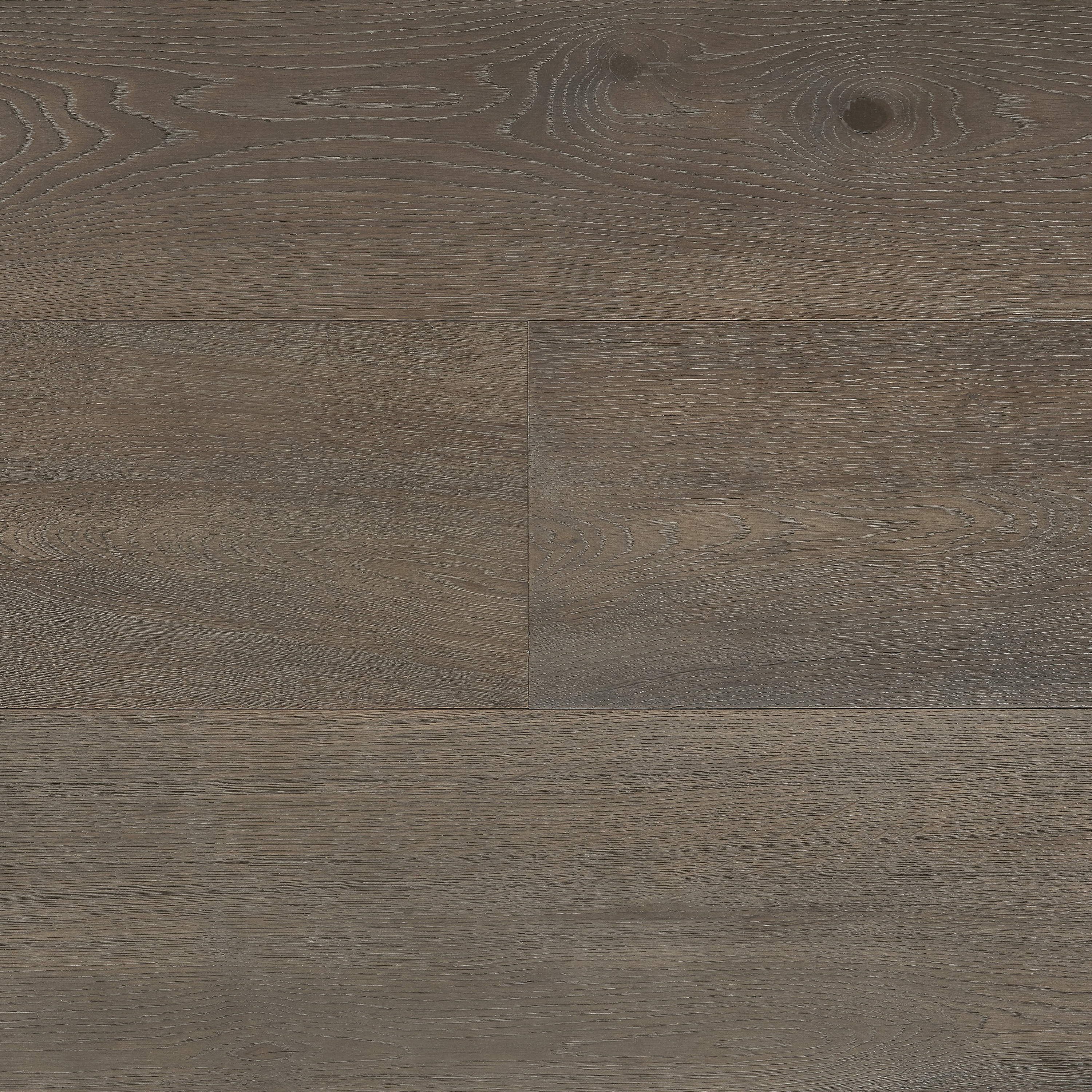 Chocolate | Obsidian