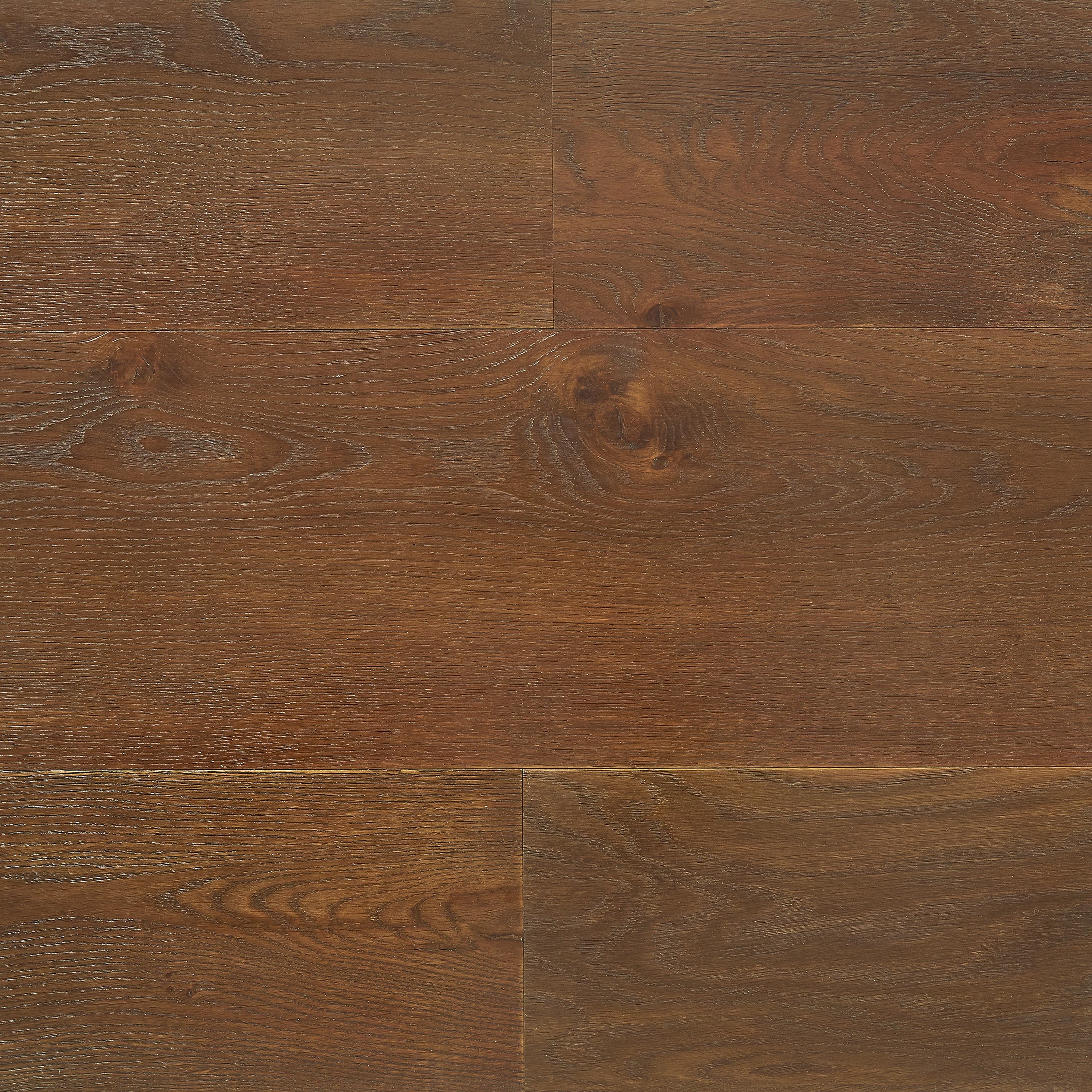 Chocolate | Polone