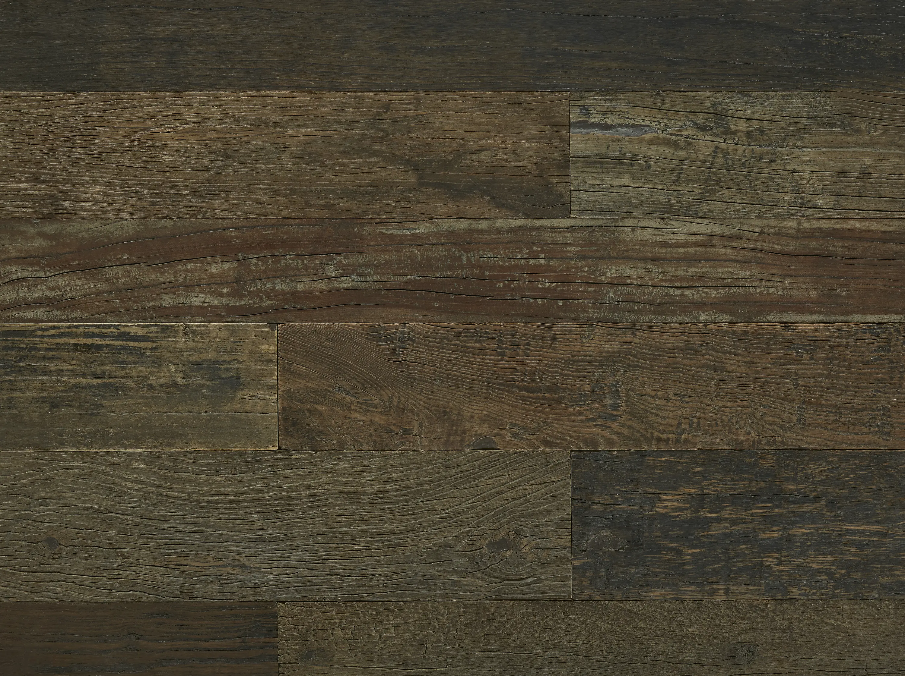 Imondi - Exotic Reclaimed | Elm, Gloss