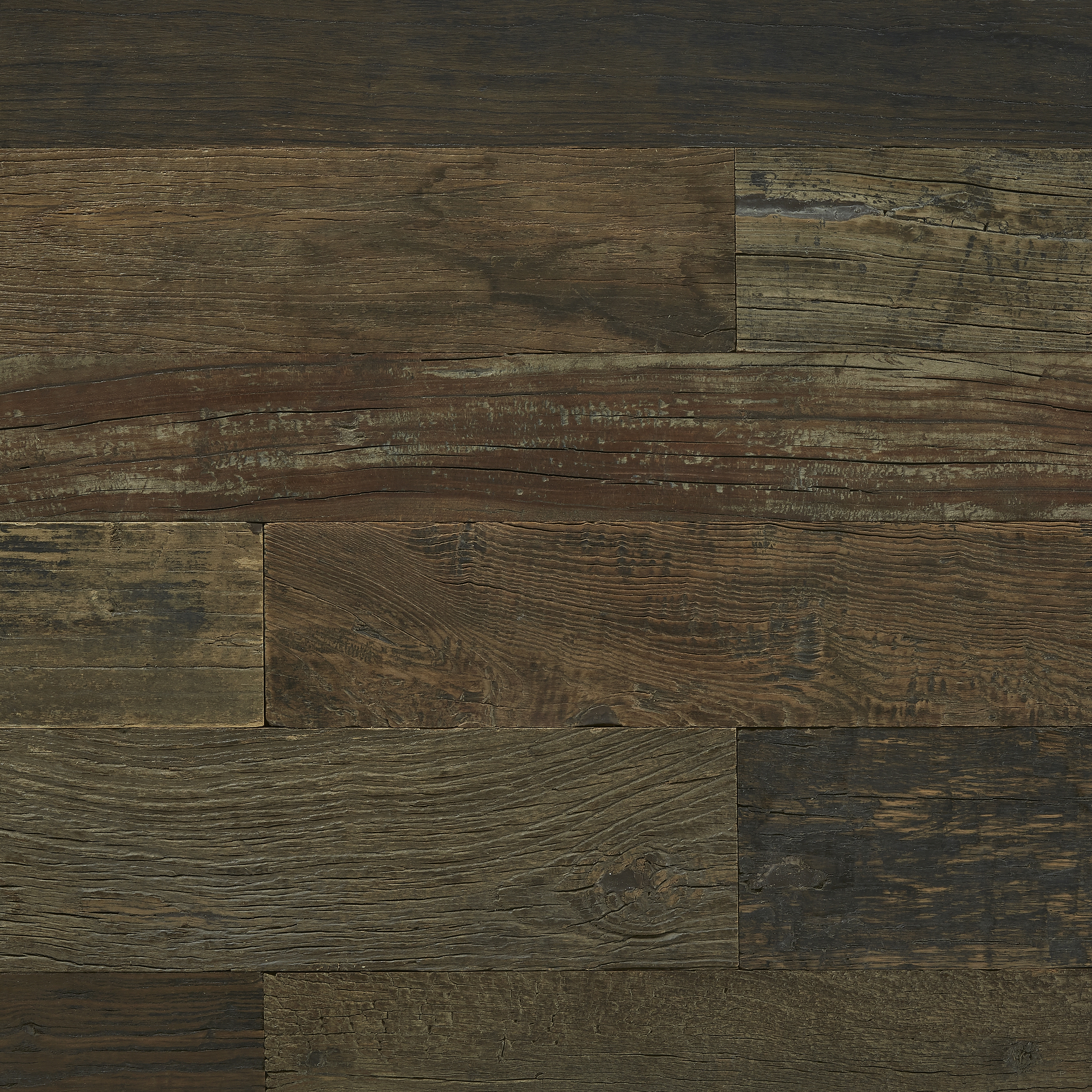 Exotic Reclaimed | Elm, Gloss