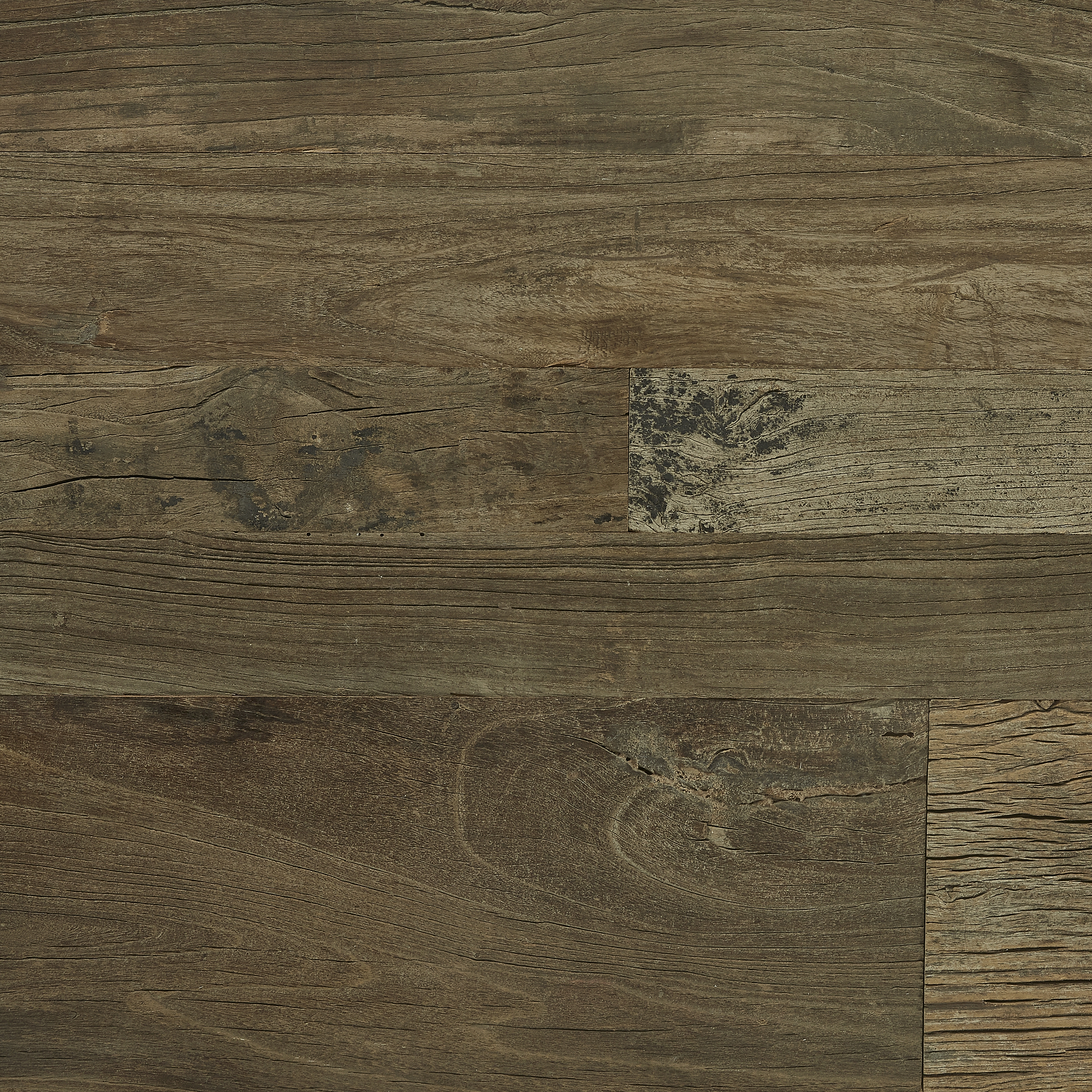 Exotic Reclaimed | Elm, Raw