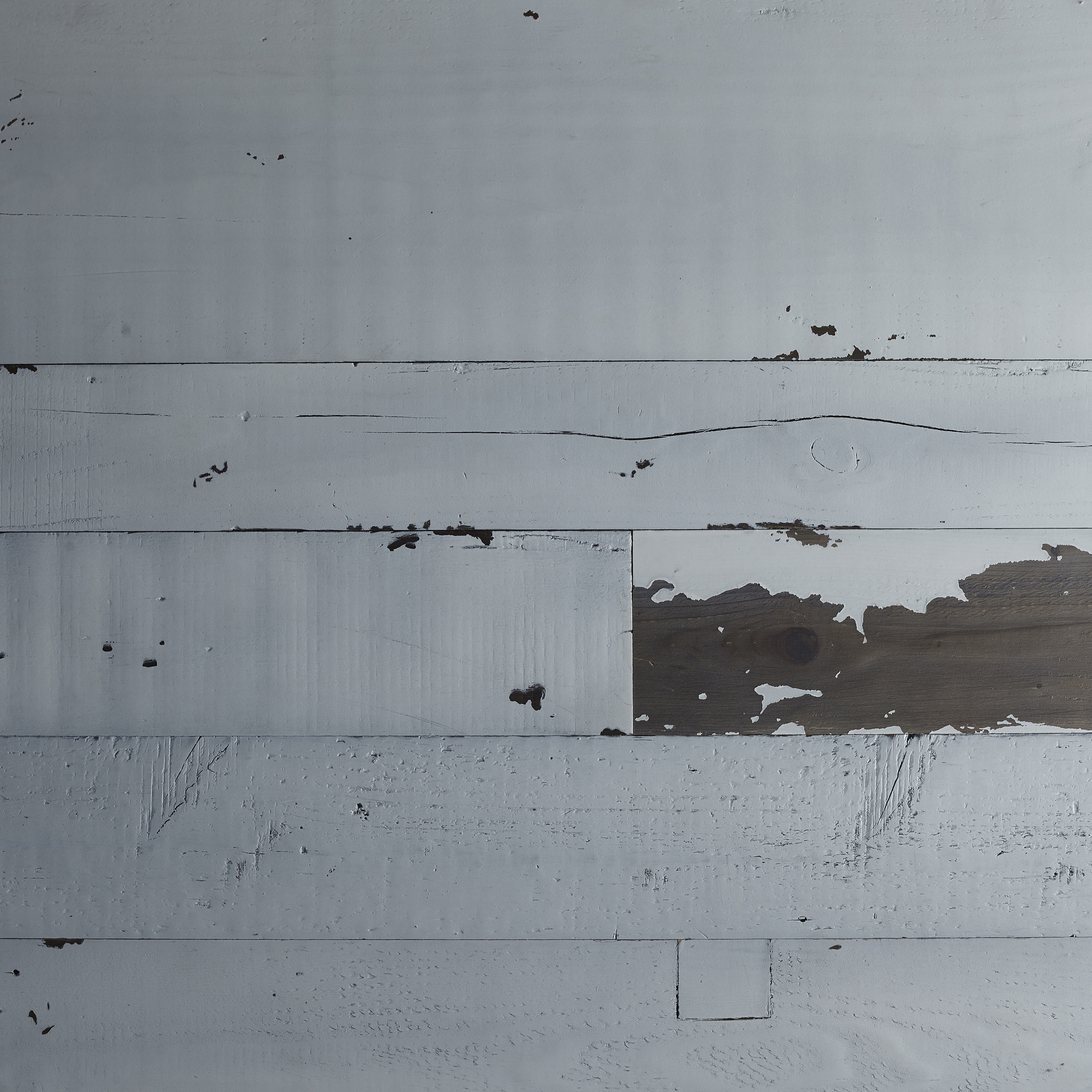 Oriental Reclaimed | Carolina, White