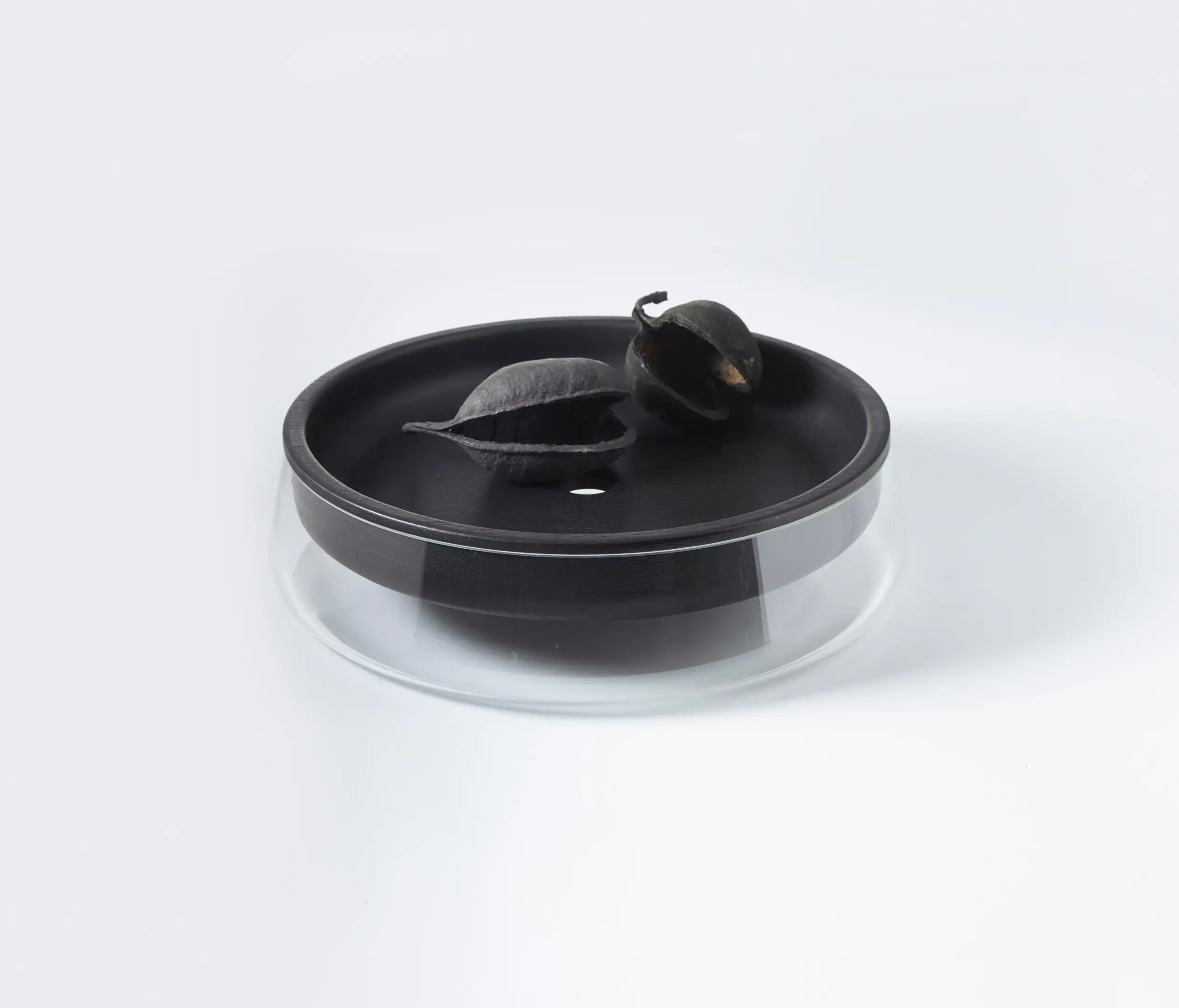 PERUSE - Double Bowl Small