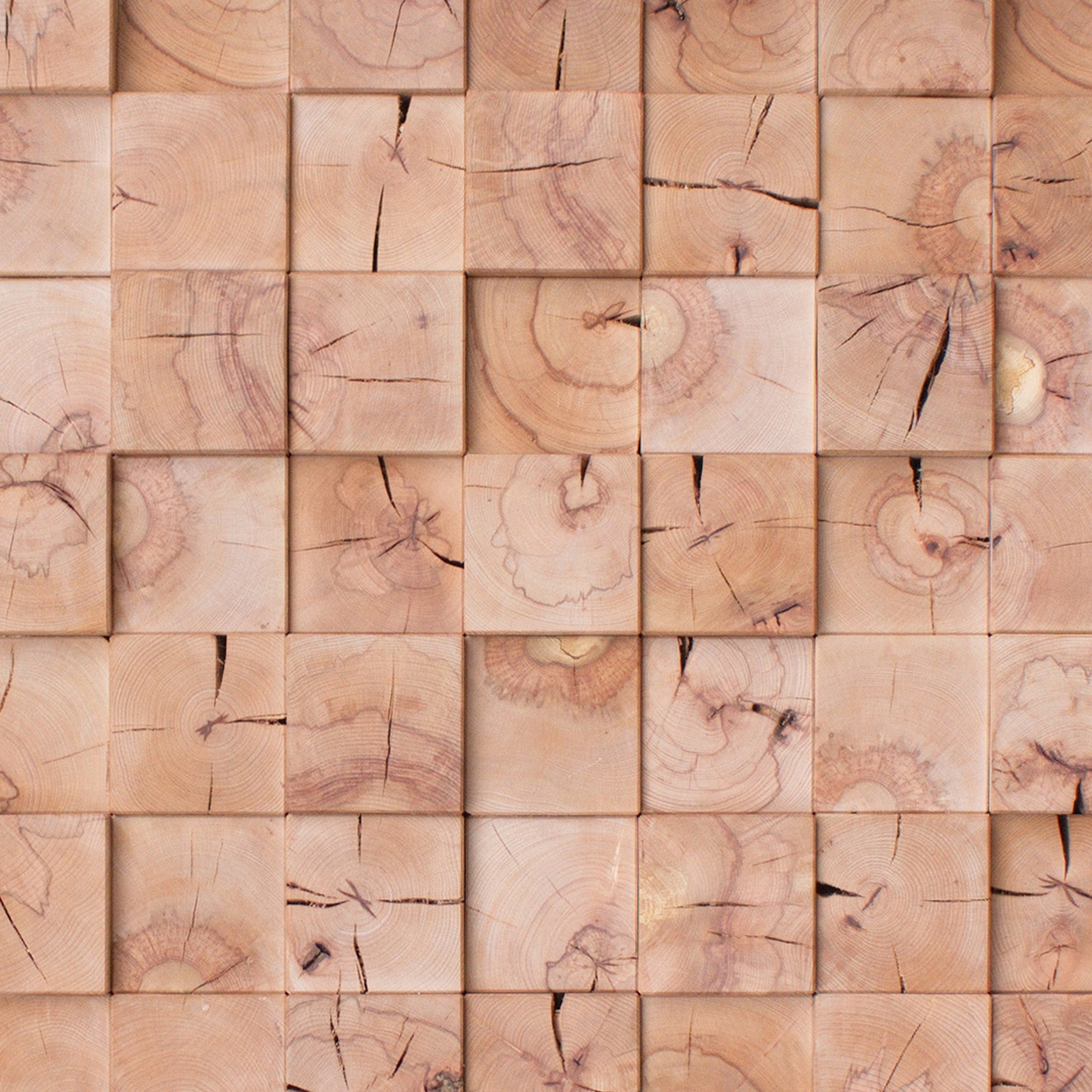 Display product CRAFTWAND® -  custom-built wall from manufacturer Craftwand
