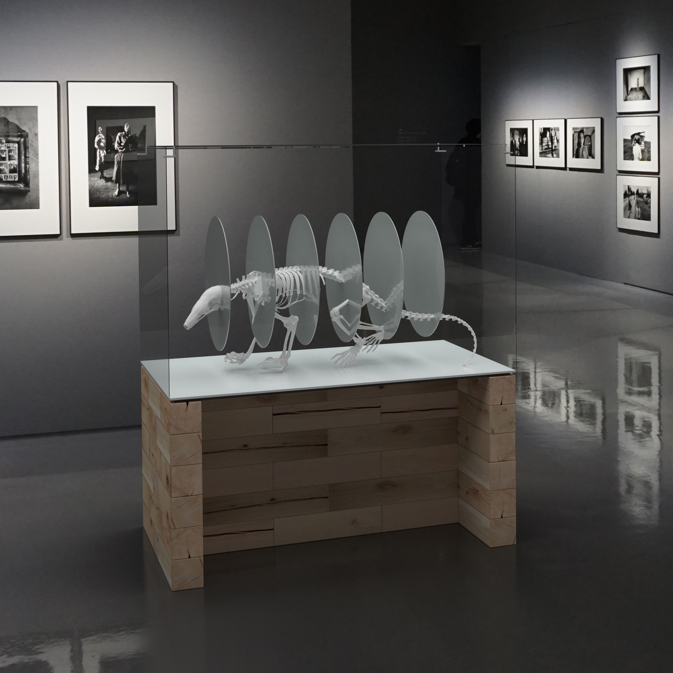 Display product CRAFTWAND® - exhibition system design from manufacturer Craftwand
