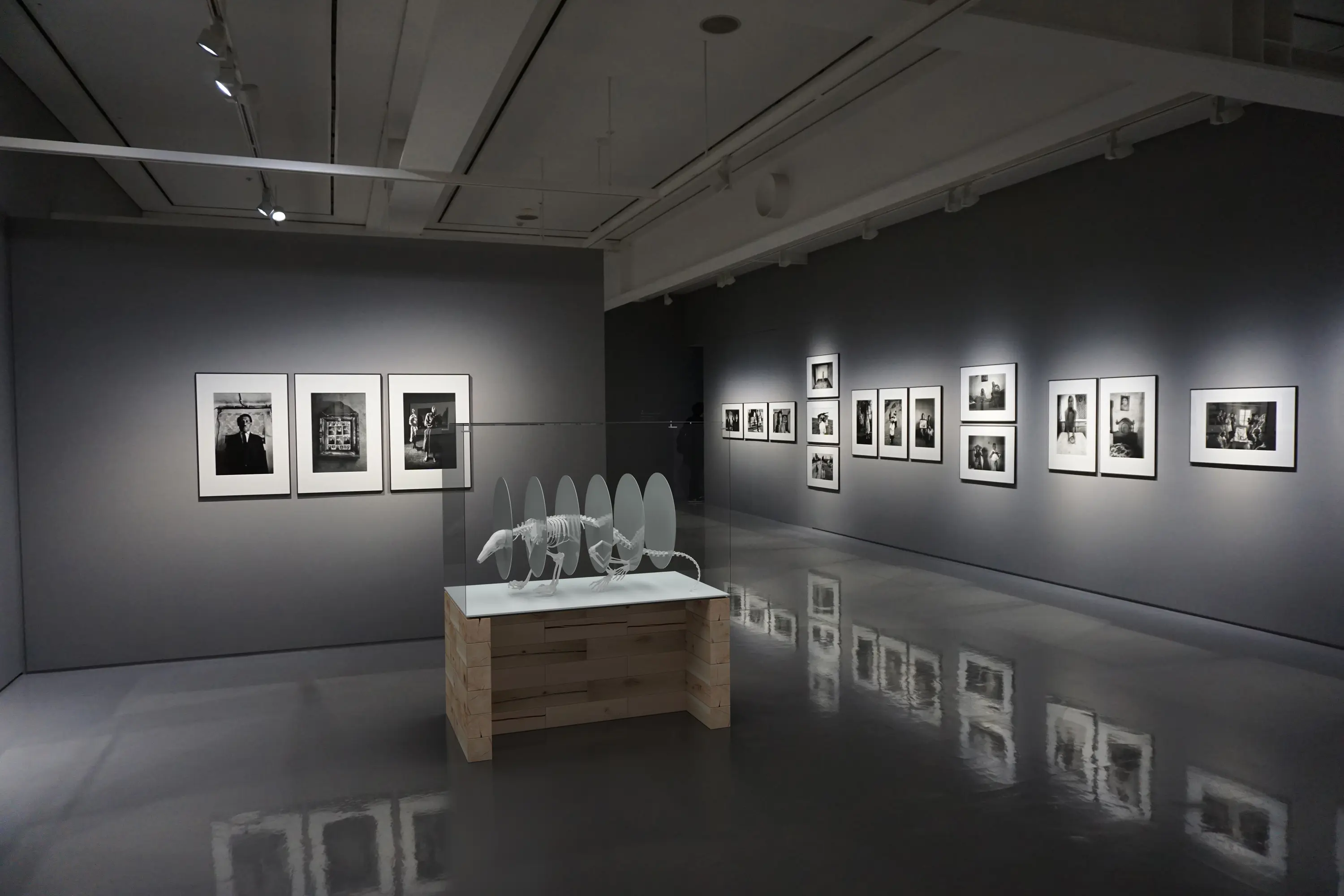 Craftwand - CRAFTWAND® - exhibition system design