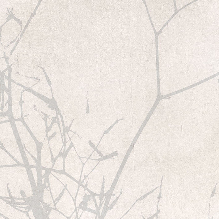 Display product Spotlight - CM01 from manufacturer Villeroy & Boch Fliesen