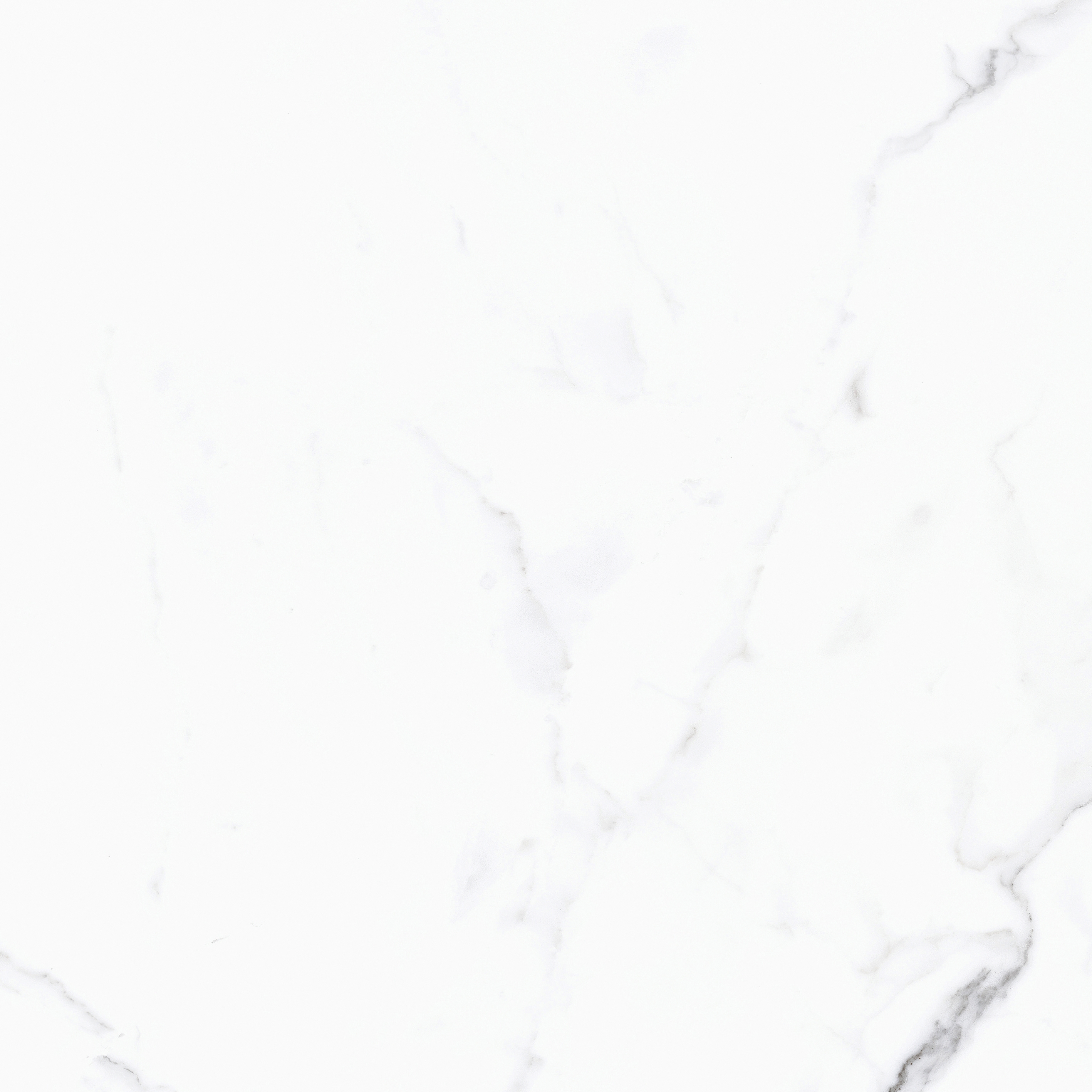 Nocturne - ZN1P