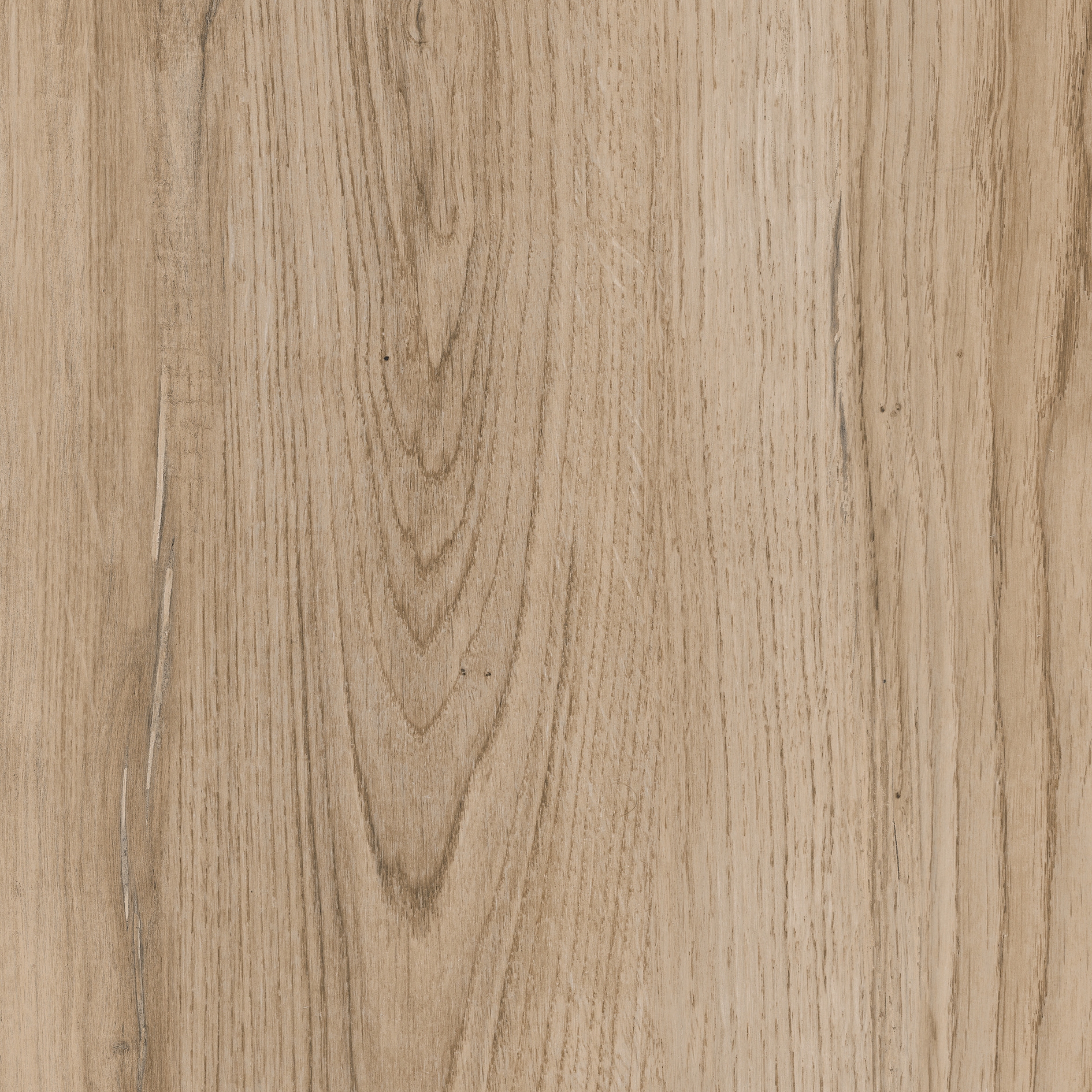 Oak Line Garden - 2896WZ20