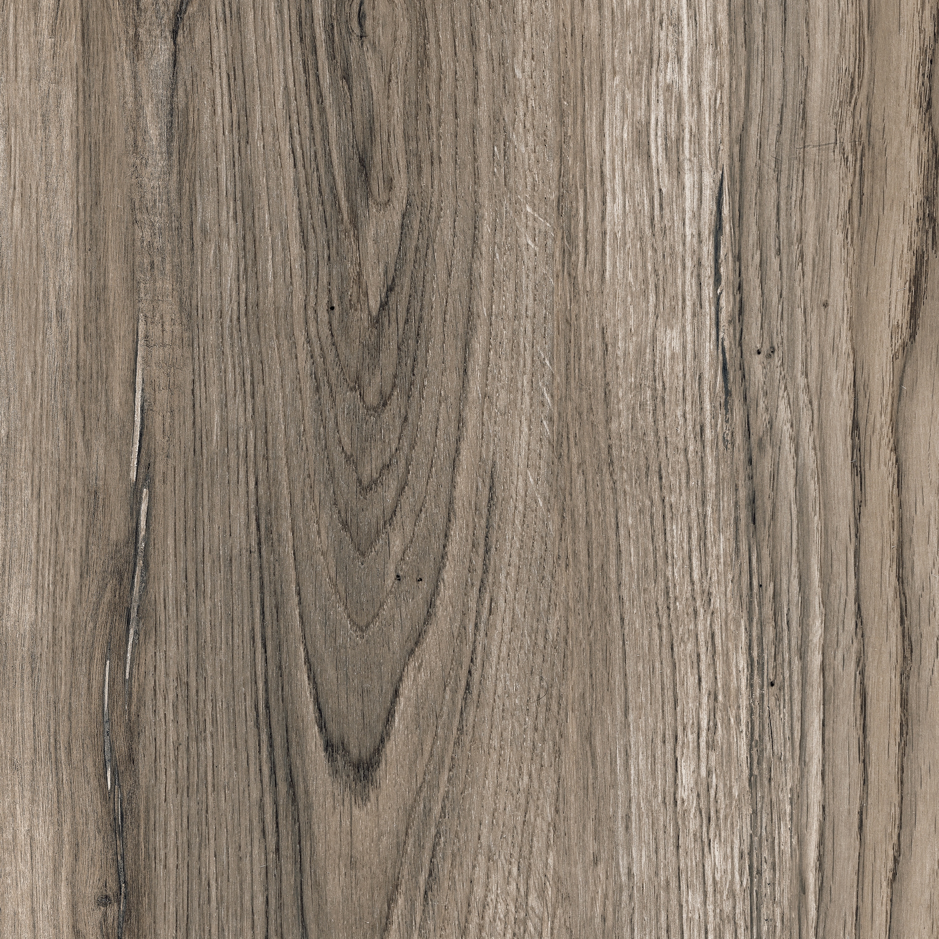 Oak Line Garden - 2896WZ80