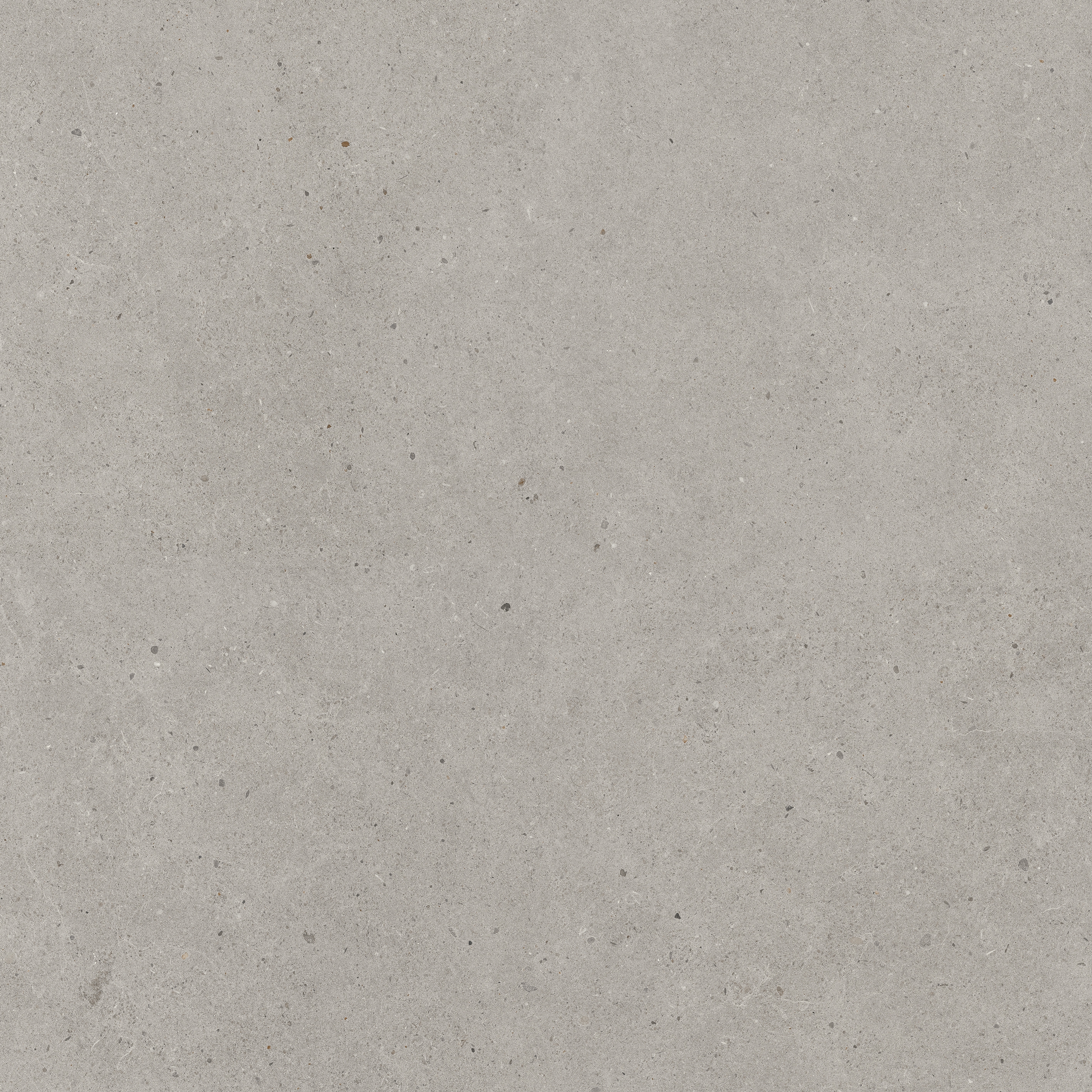 Solid Tones - 2310PC60